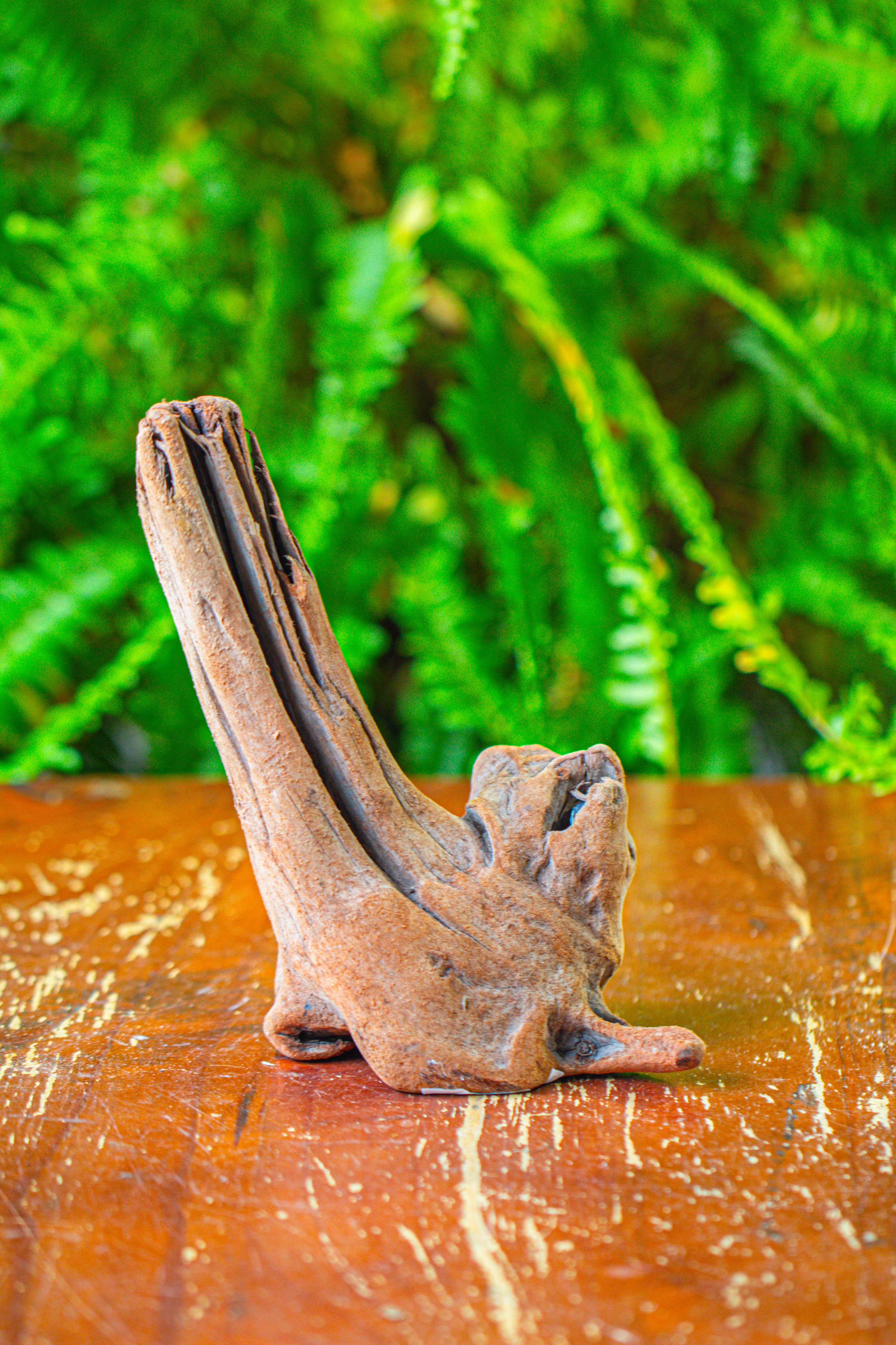 driftwood for moss terrarium, miniature, micro landscape,T8015 - NCYPgarden