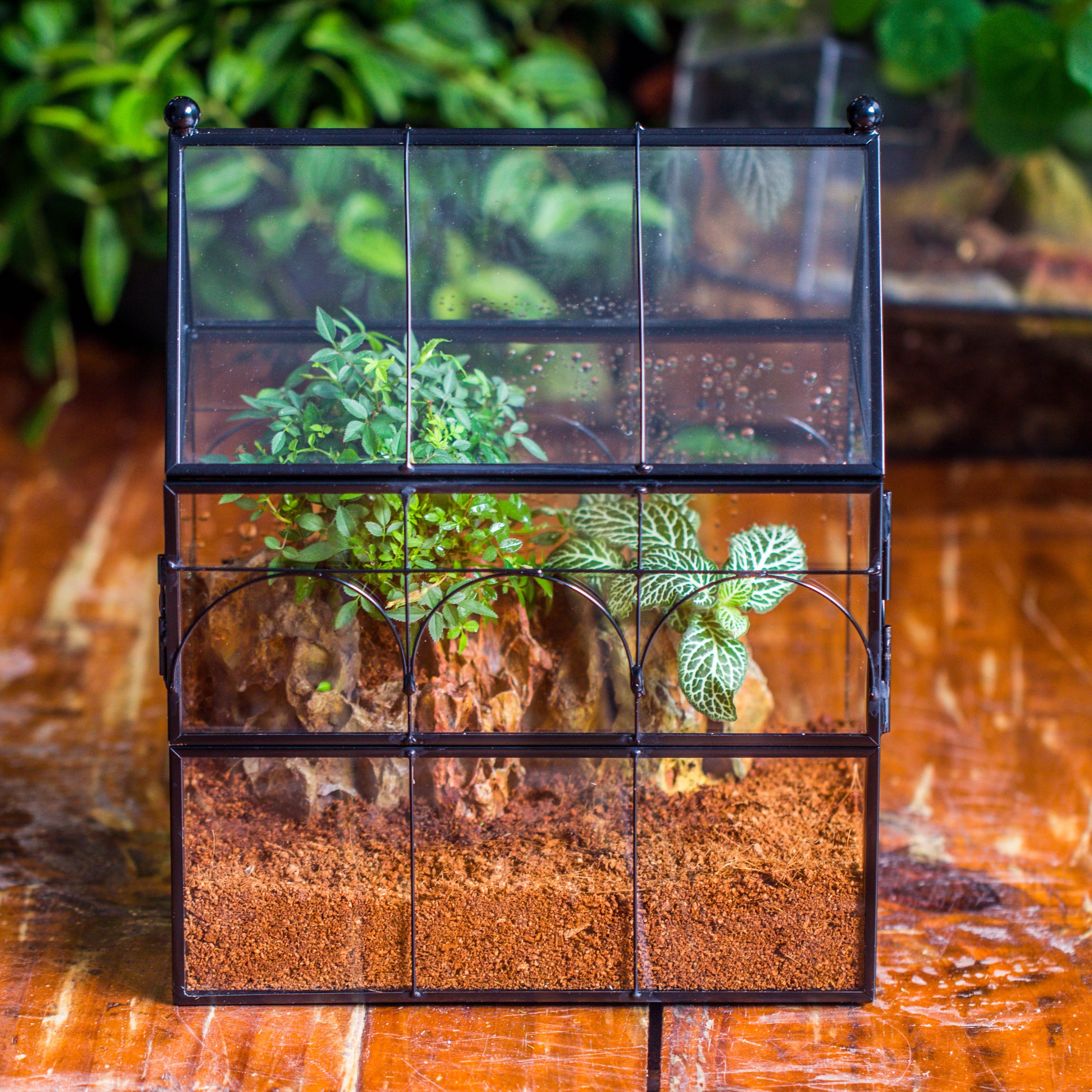 NCYP Vintage House Shape Tin and Glass Geometric Terrarium, with side