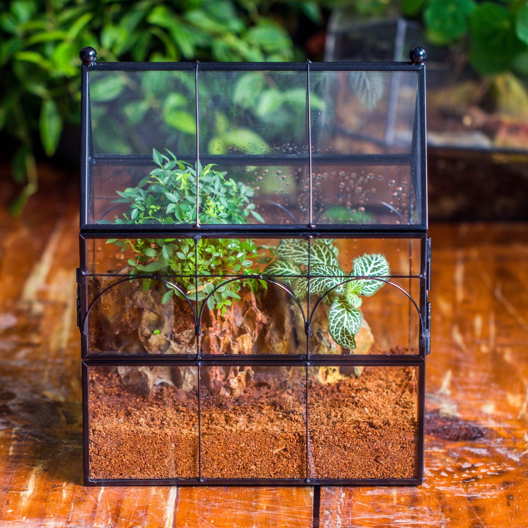 Window Terrarium NCYP Vintage House Shape Tin and Glass Geometric Terrarium, with side ...