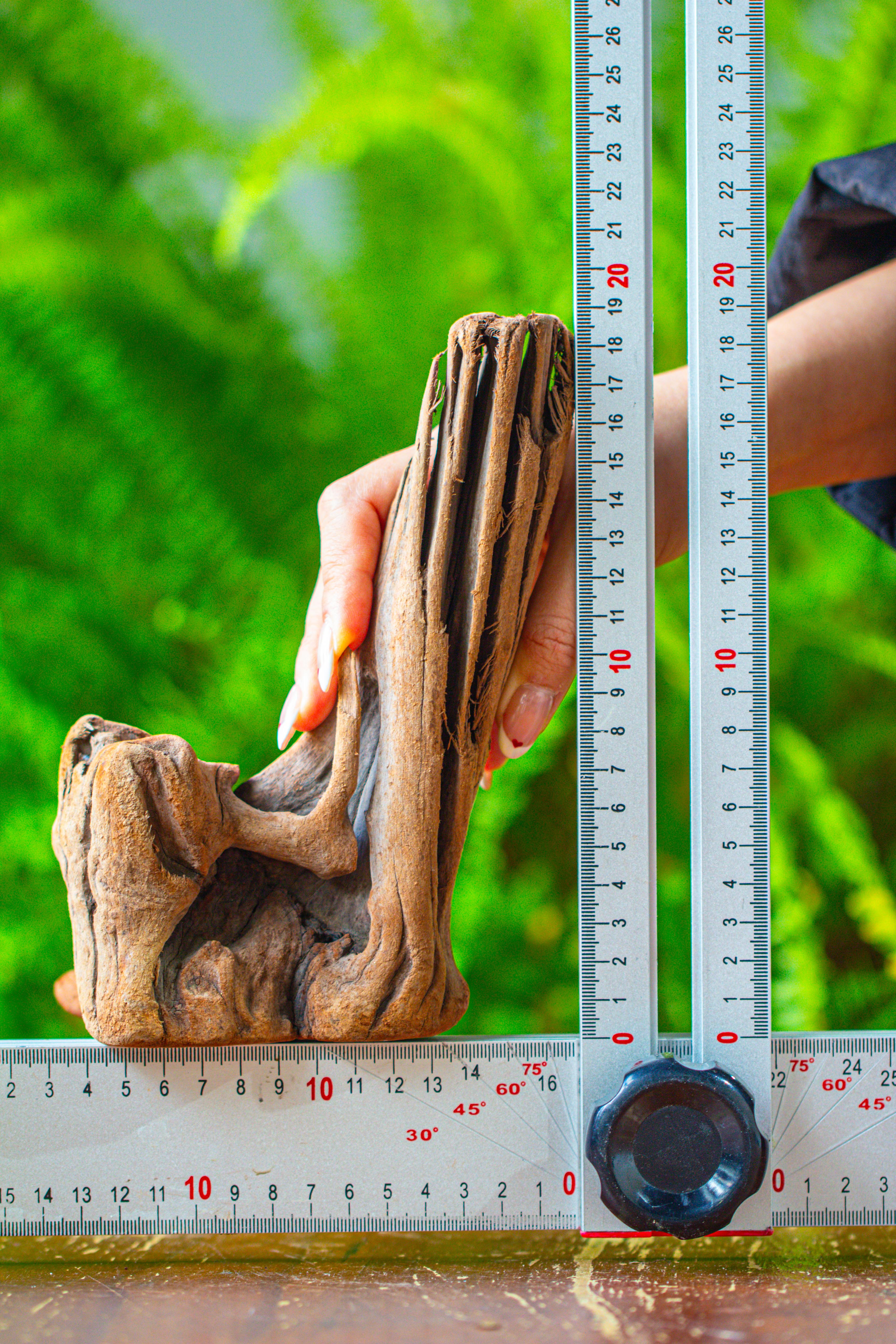 driftwood for moss terrarium, miniature, micro landscape,T8015 - NCYPgarden