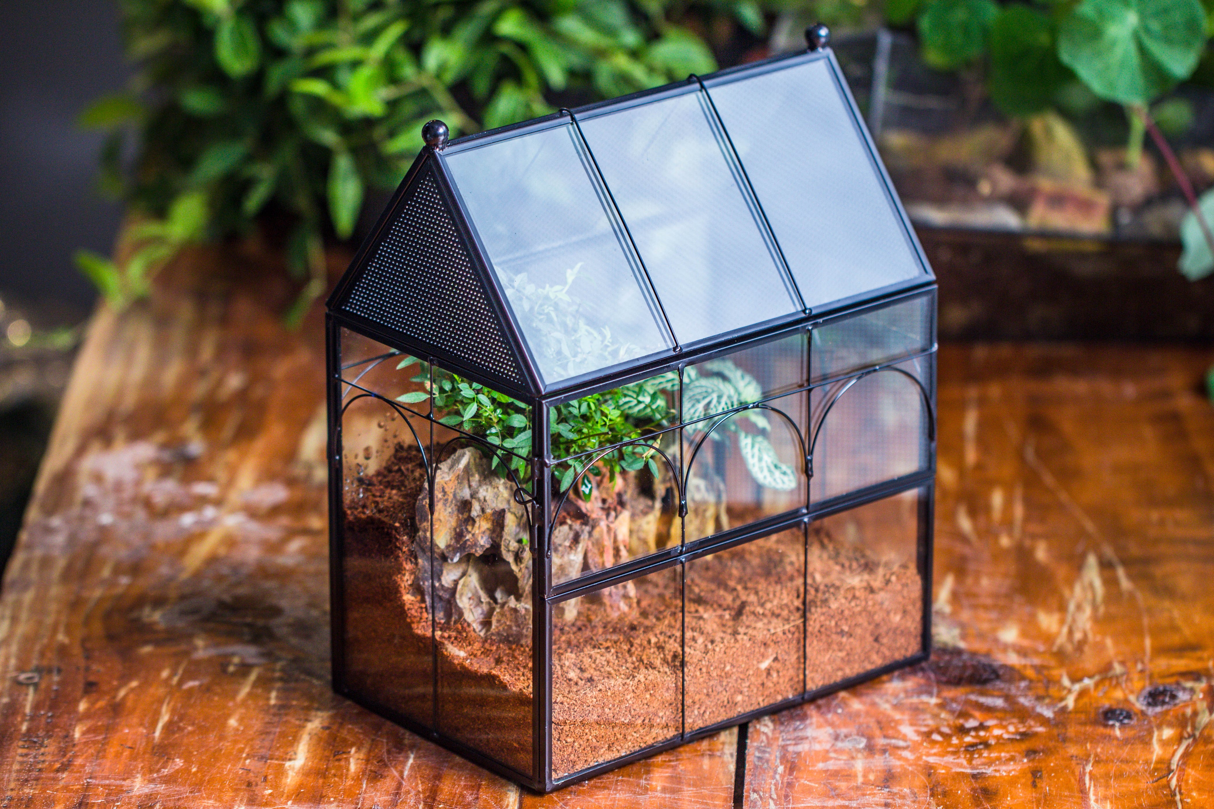 NCYP Vintage House Shape Tin and Glass Geometric Terrarium, with side