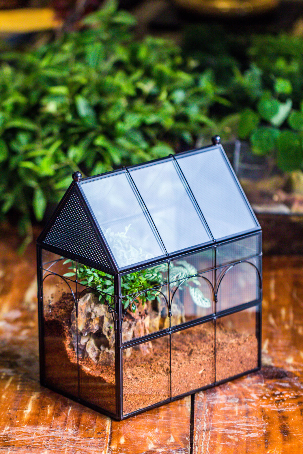 NCYP Vintage House Shape Tin and Glass Geometric Terrarium, with side door, with Mesh / vent holes for small Insects Pet - NCYPgarden