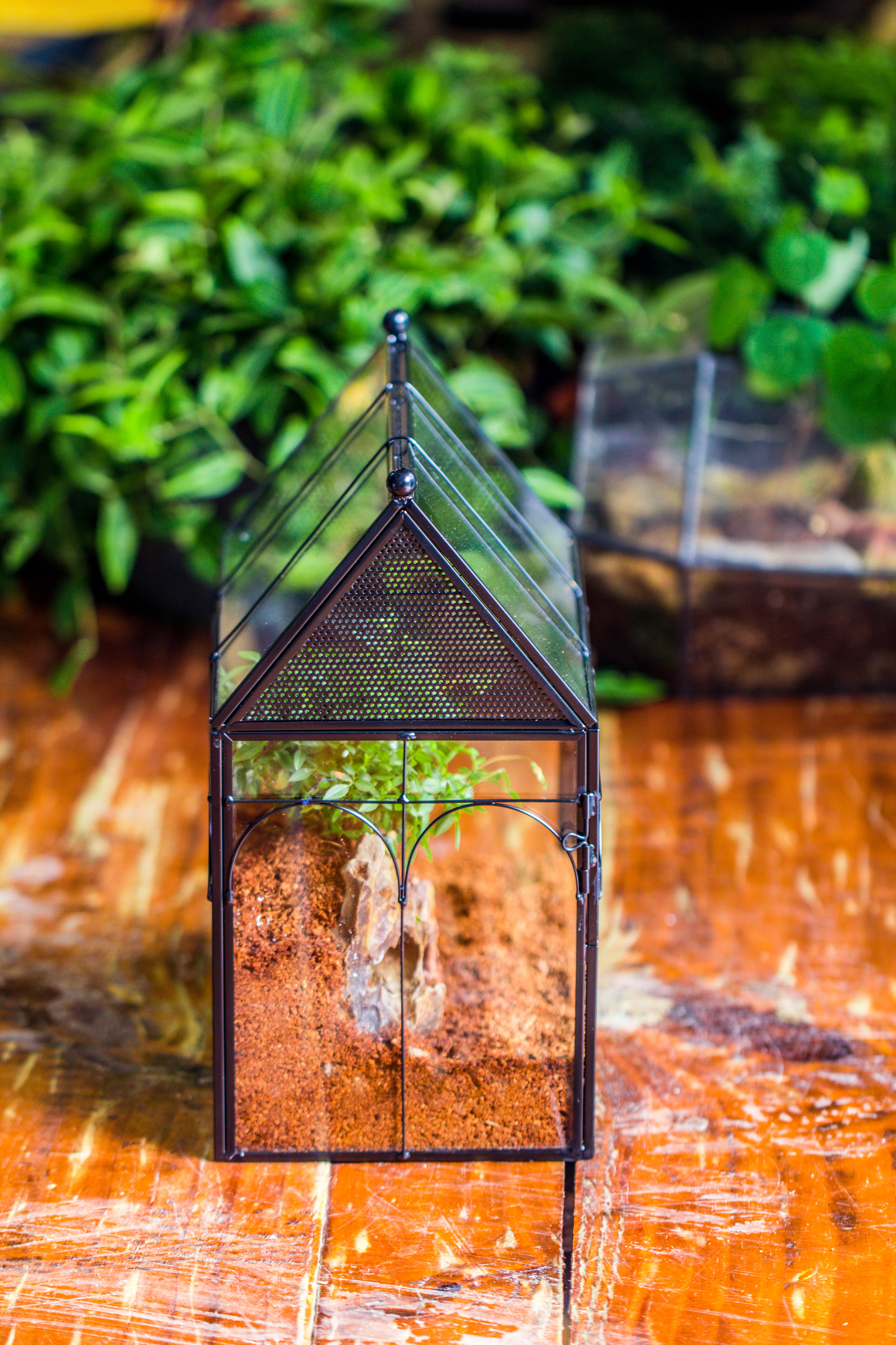 Handmade Terrarium with Light, House Shape Glass Geometric Terrarium with LED Light Set, Wooden Base, Jumping Spider Terrarium,Gift for Dad - NCYPgarden