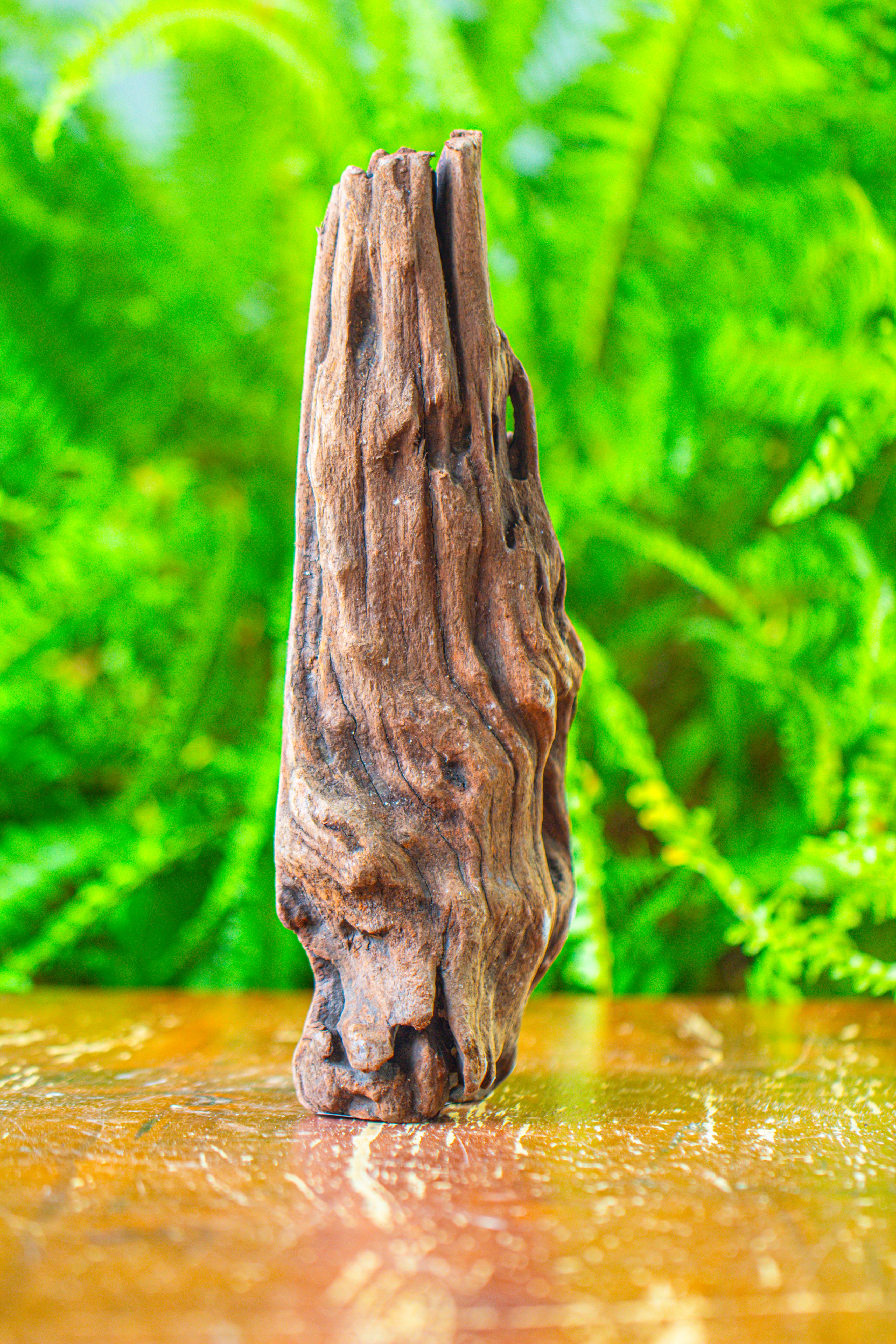 driftwood for moss terrarium, miniature, micro landscape,T8010 - NCYPgarden