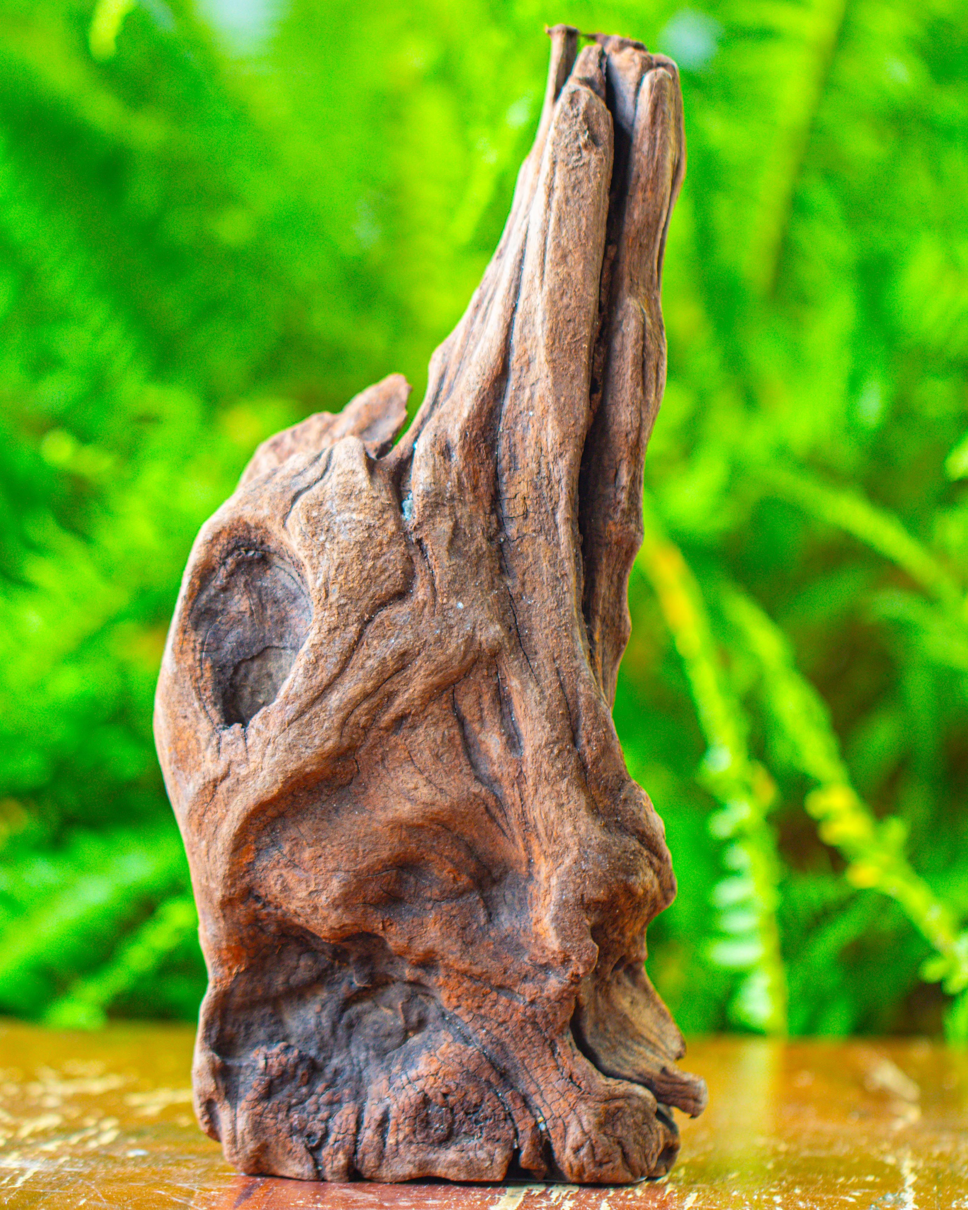driftwood for moss terrarium, miniature, micro landscape,T8010 - NCYPgarden