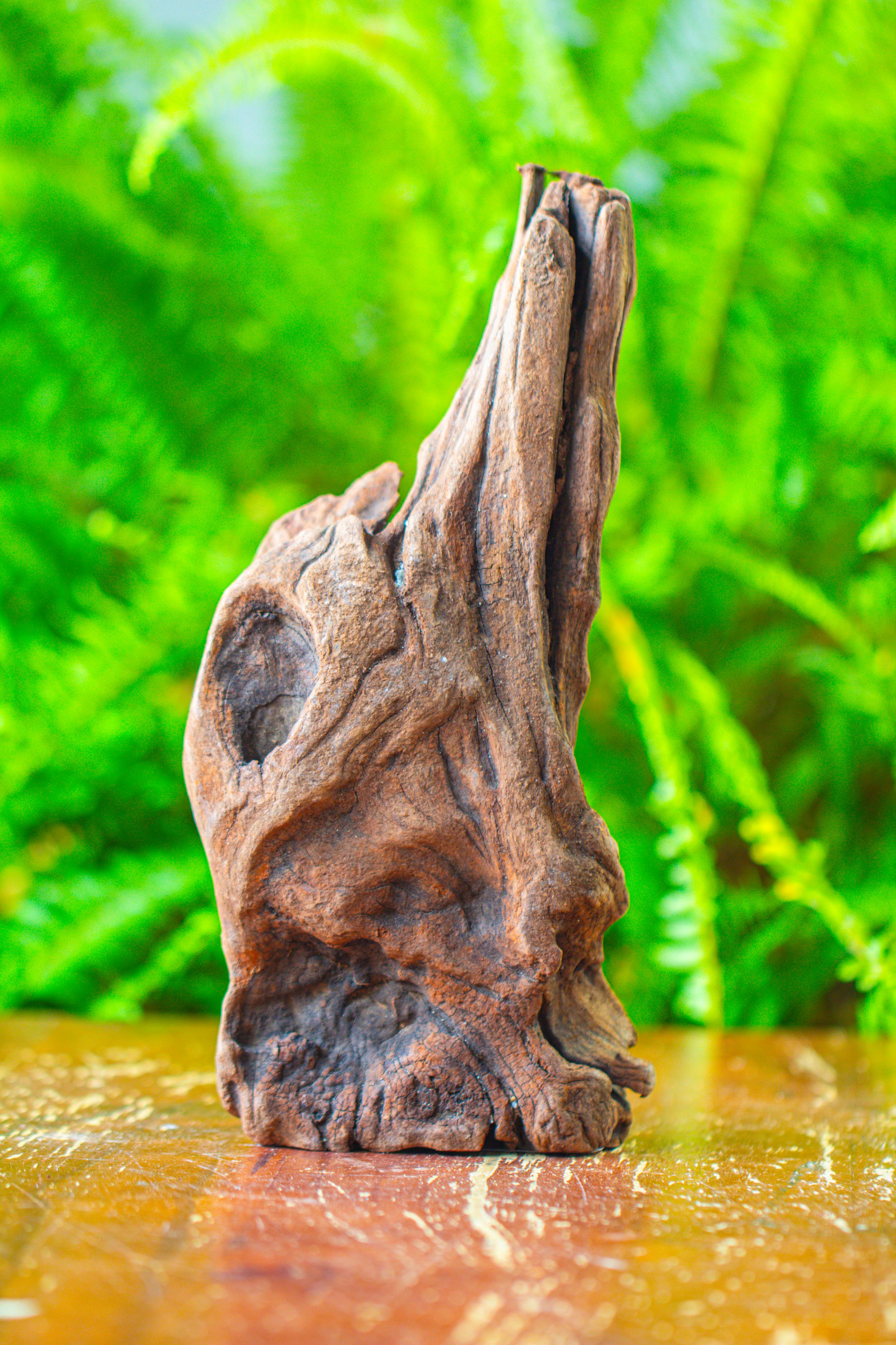 driftwood for moss terrarium, miniature, micro landscape,T8010 - NCYPgarden