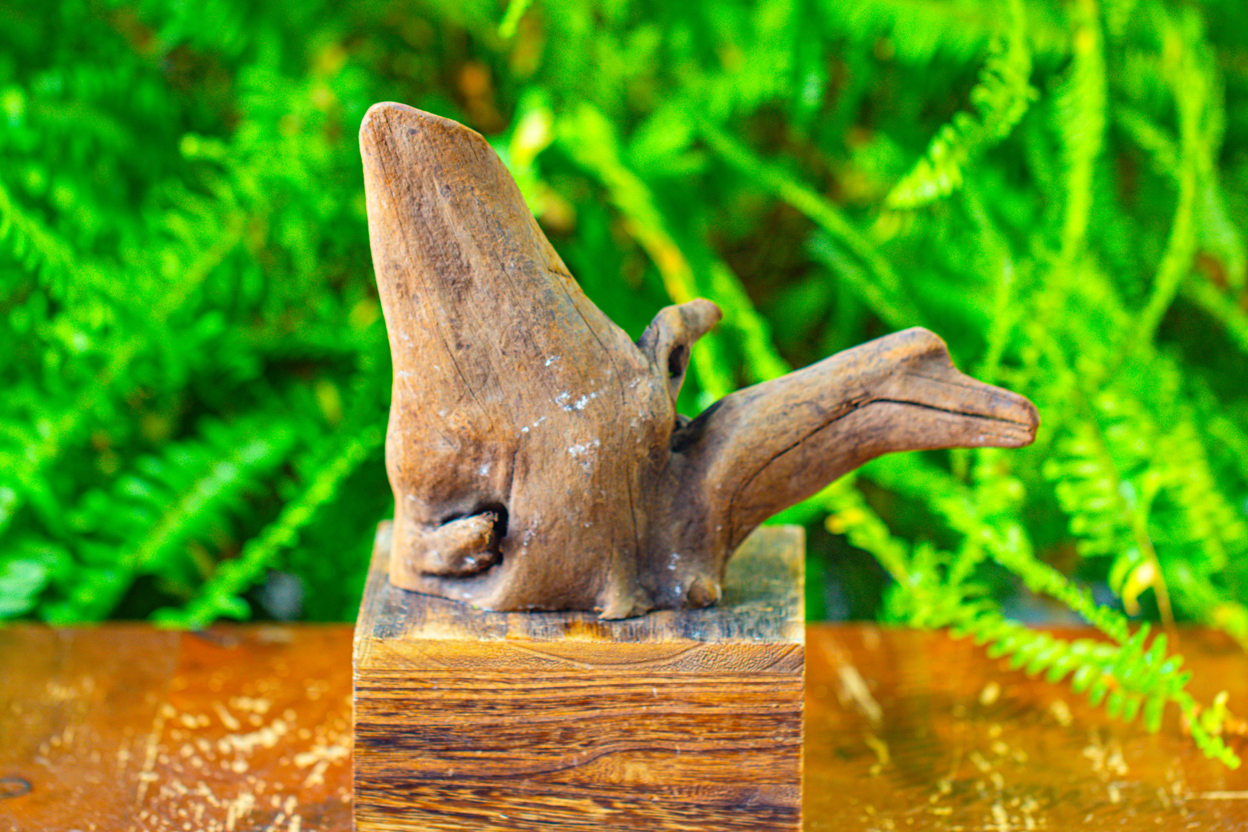 driftwood for moss terrarium, miniature, micro landscape,T8014 - NCYPgarden