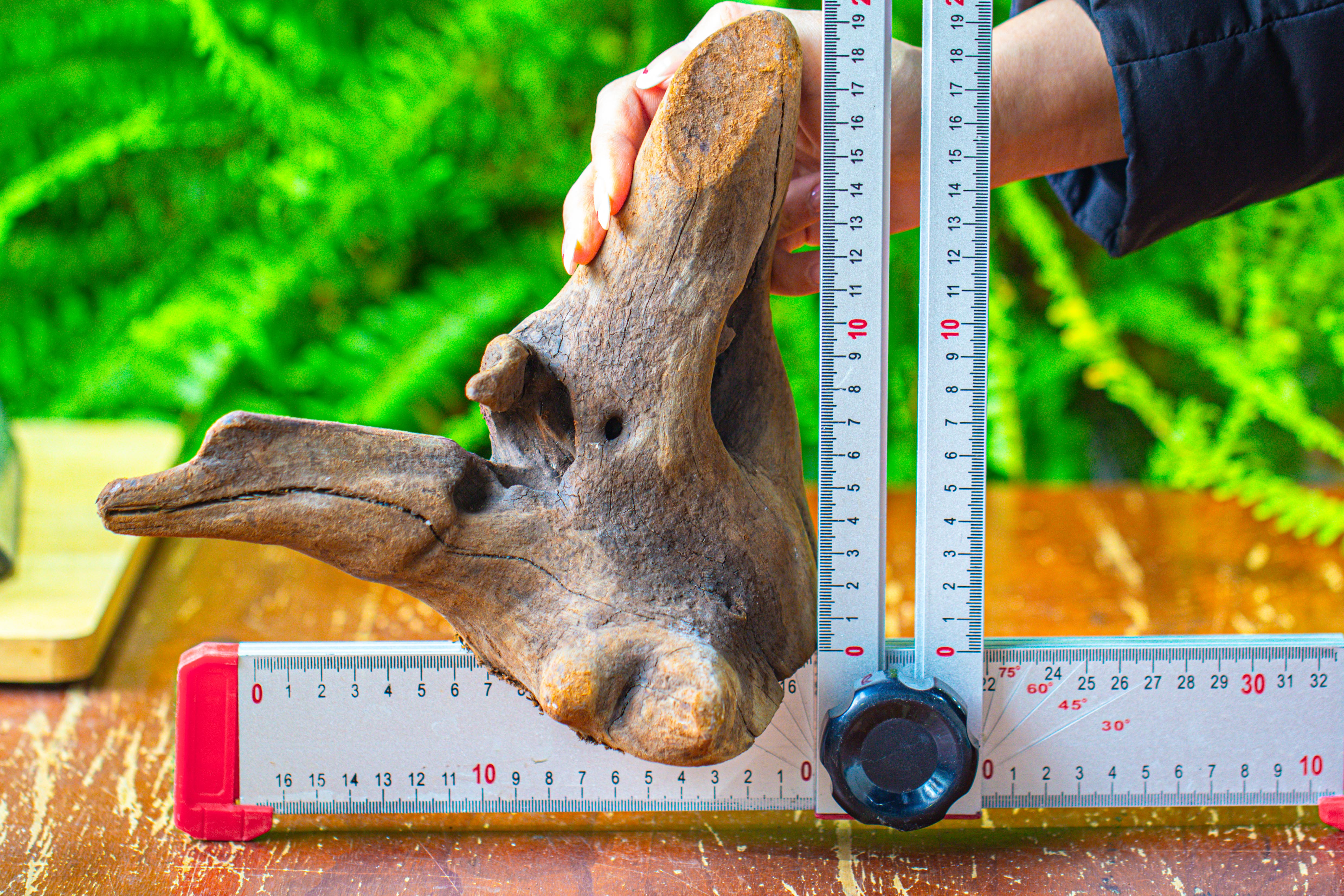 driftwood for moss terrarium, miniature, micro landscape,T8014 - NCYPgarden