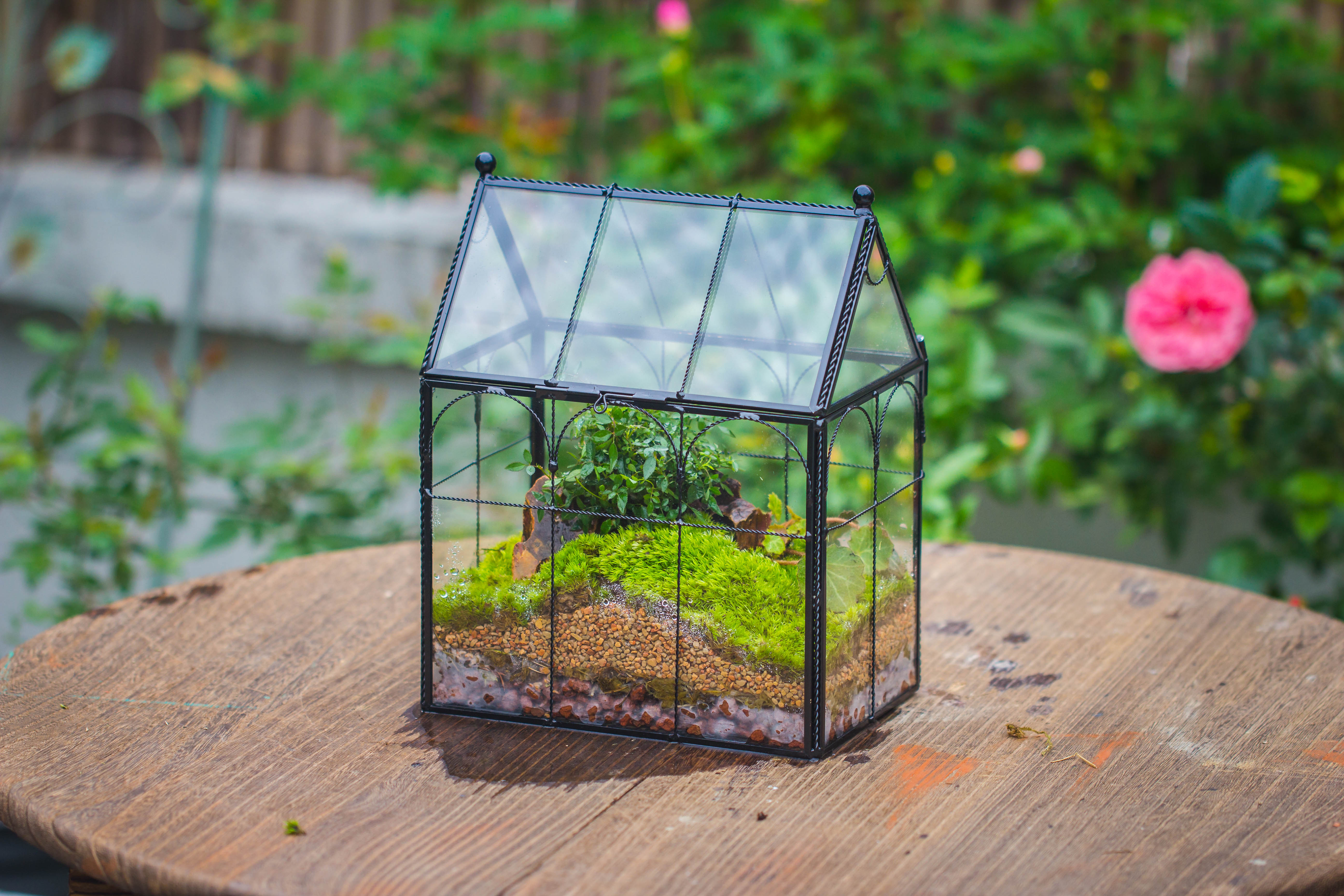 NCYP Tall Glass Geometric Terrarium Brass Twisted Brass Wire Decorated Black Vintage House Shape for Insect Snail Moss Succulents Cacti Air Plant - NCYPgarden