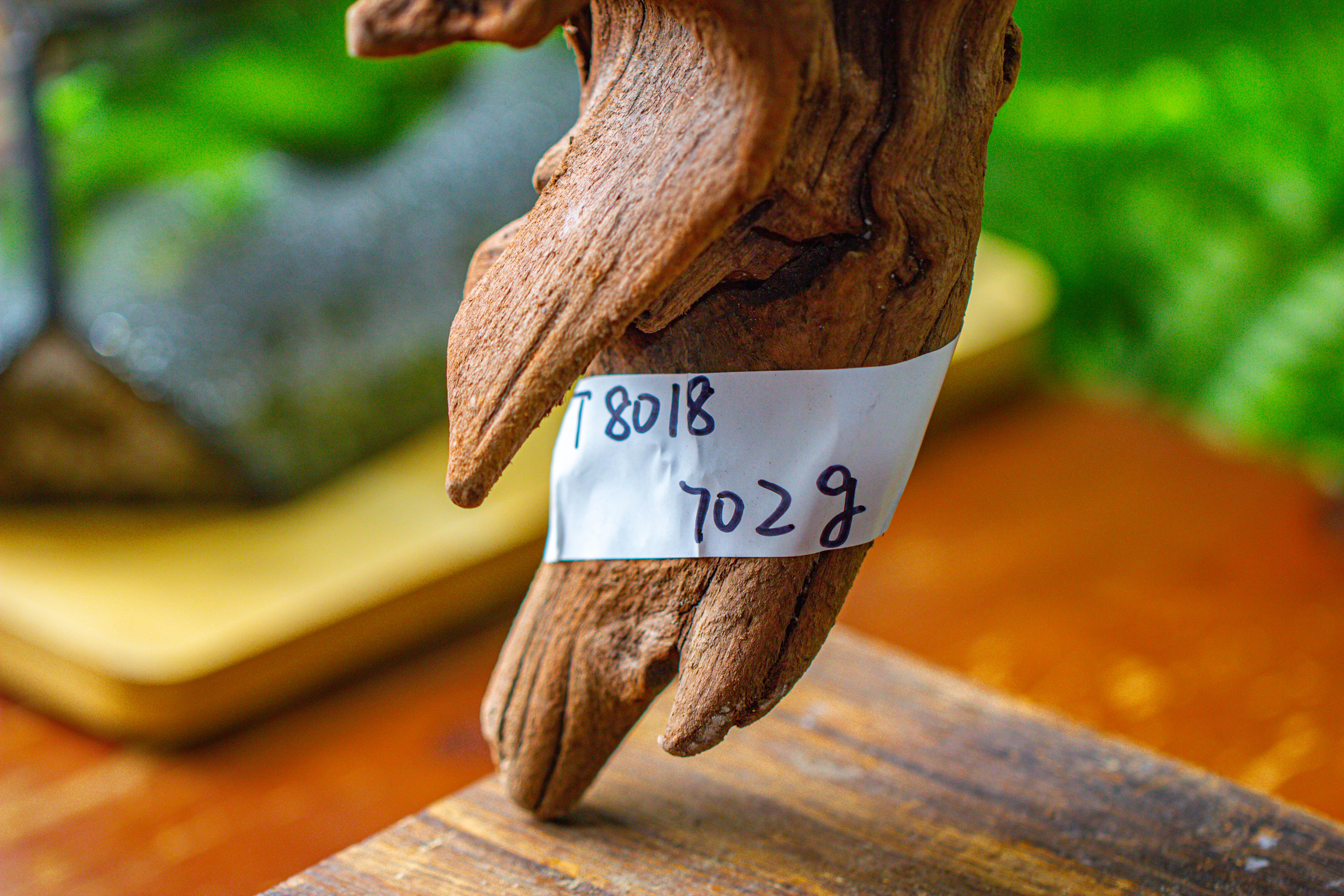 driftwood for moss terrarium, miniature, micro landscape,T8018 - NCYPgarden