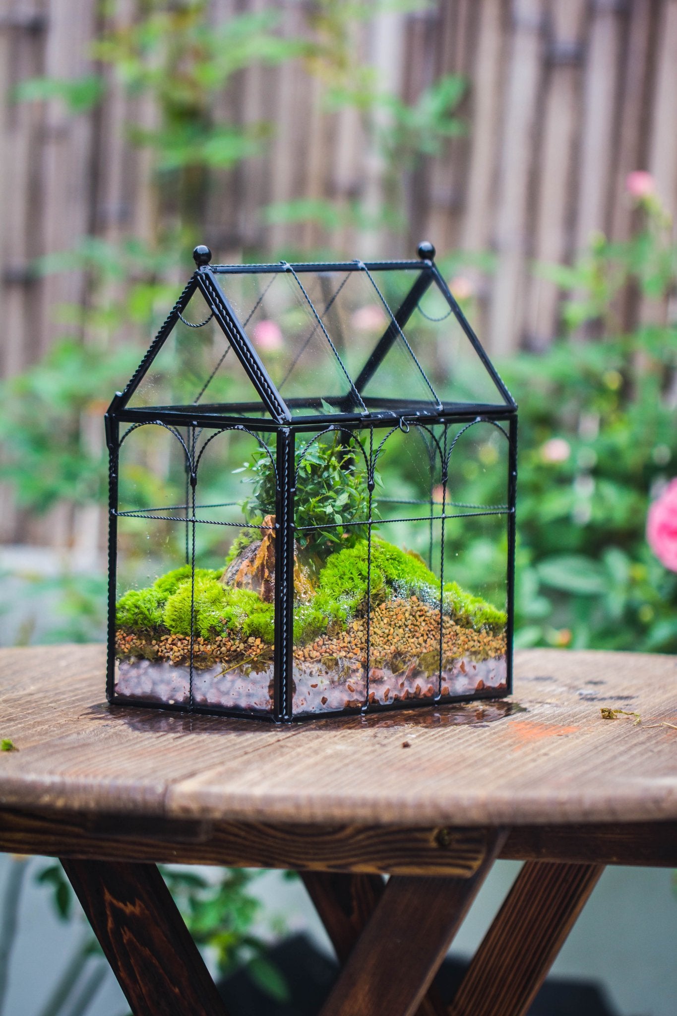 small plant glass house NCYP Tall Glass Geometric Terrarium Twisted Brass Wire Decorated Black Vintage House Shape for Insect Snail Moss Succulents Cacti Air Plant