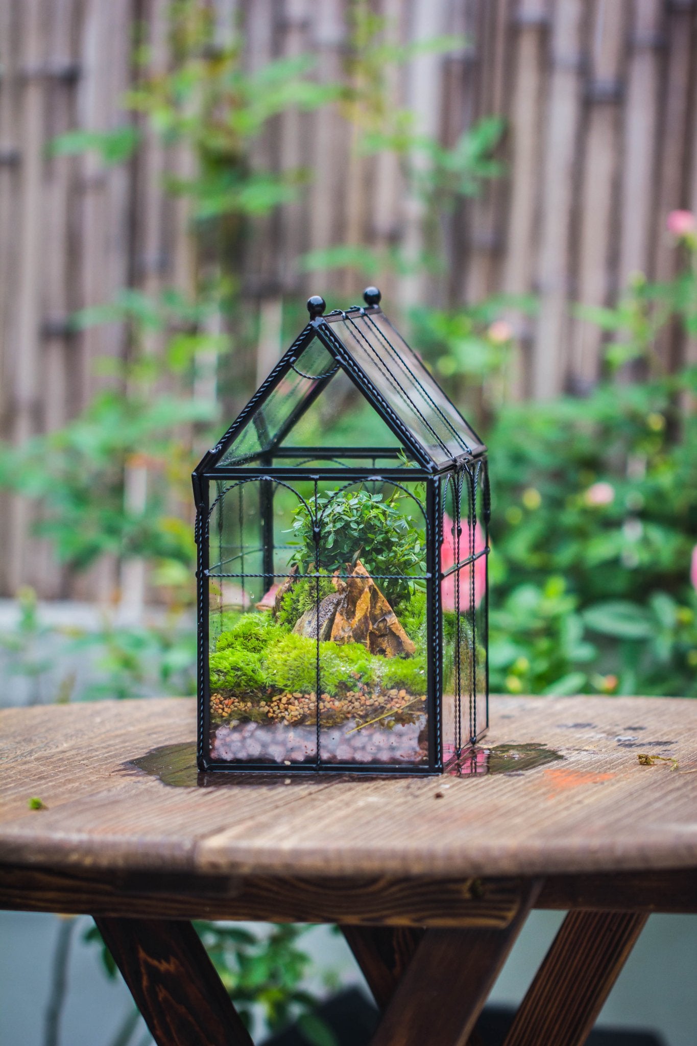 glass plant house NCYP Tall Glass Geometric Terrarium Twisted Brass Wire Decorated Black Vintage House Shape for Insect Snail Moss Succulents Cacti Air Plant