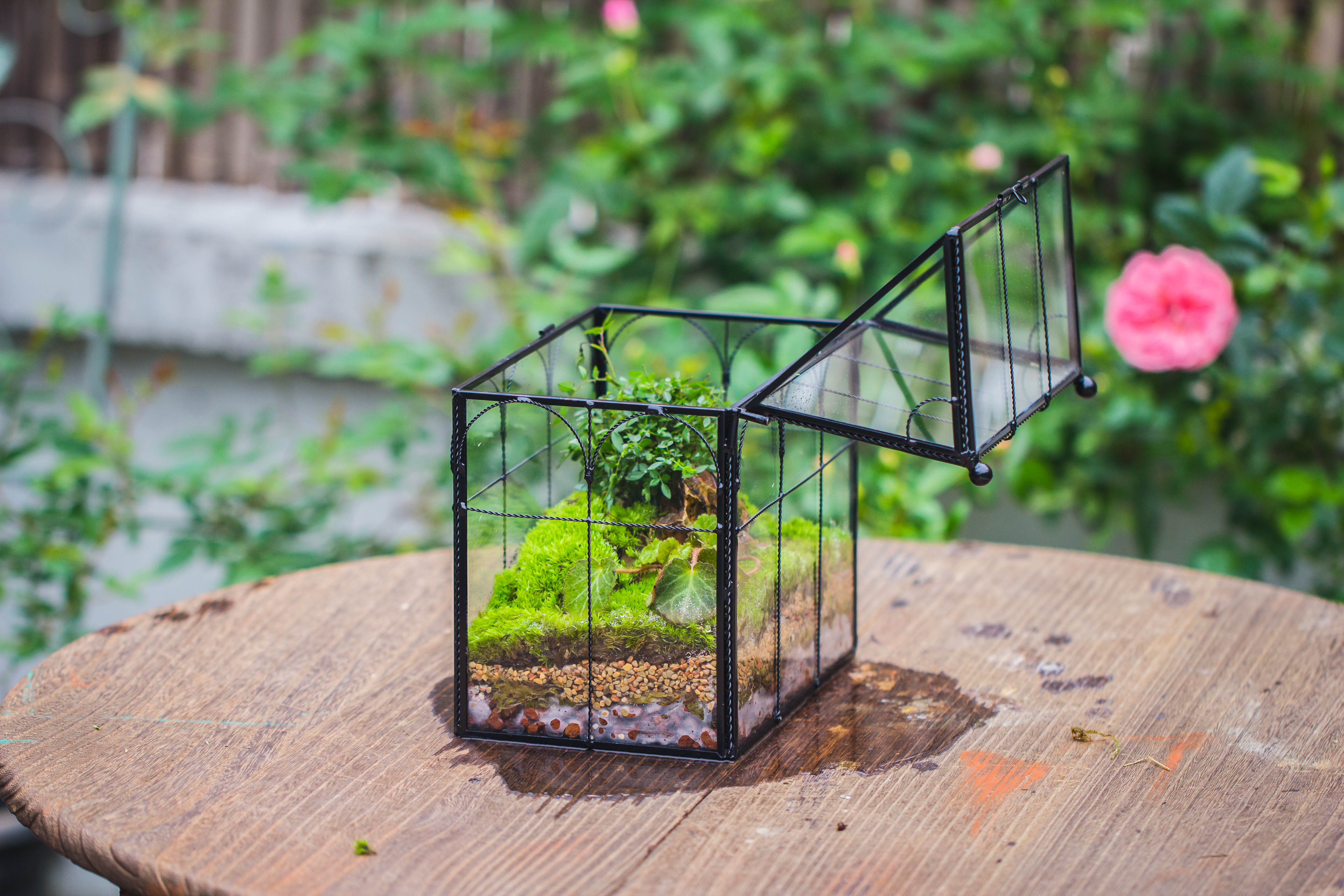 NCYP Tall Glass Geometric Terrarium Brass Twisted Brass Wire Decorated Black Vintage House Shape for Insect Snail Moss Succulents Cacti Air Plant - NCYPgarden