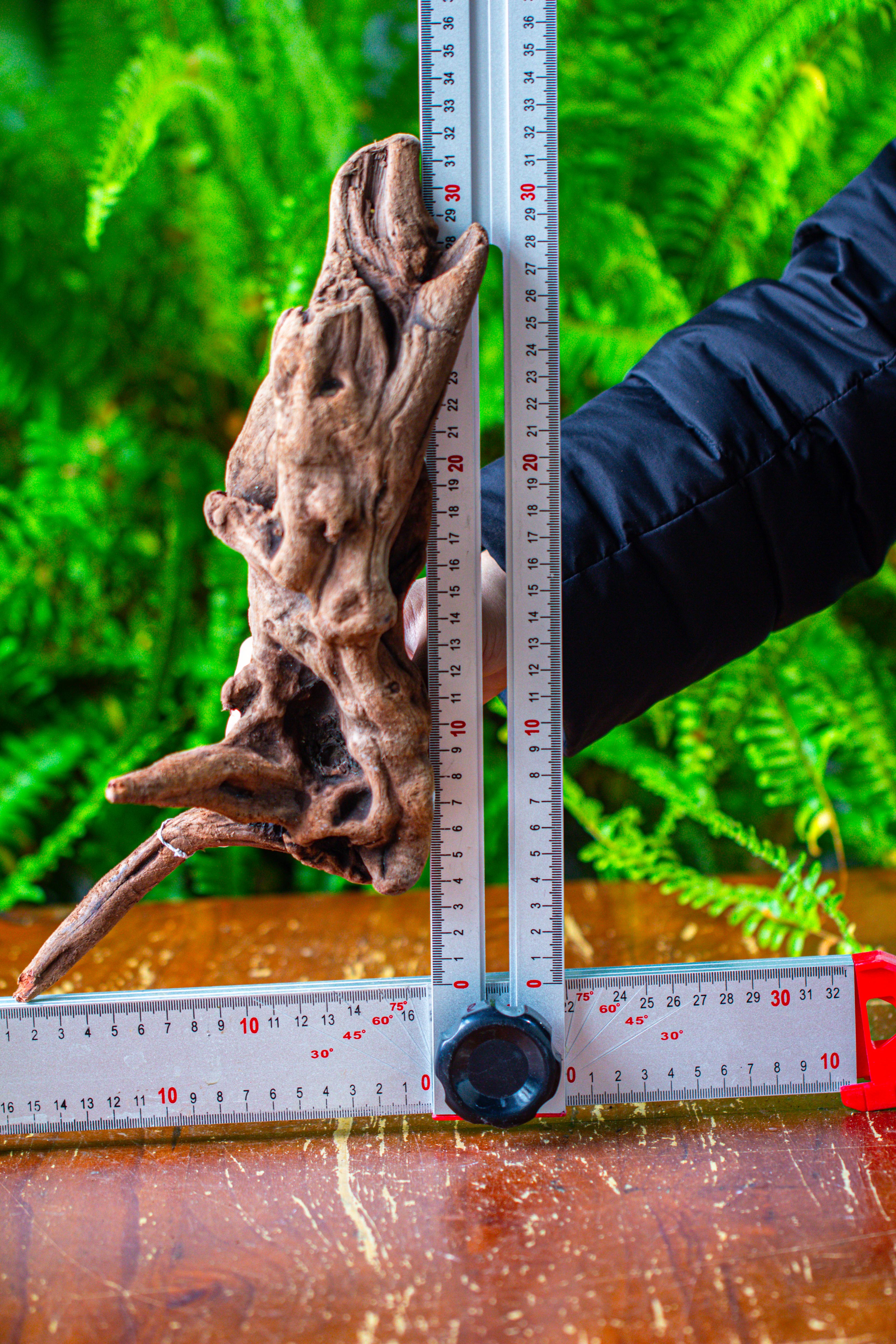 driftwood for moss terrarium, miniature, micro landscape,T8018 - NCYPgarden