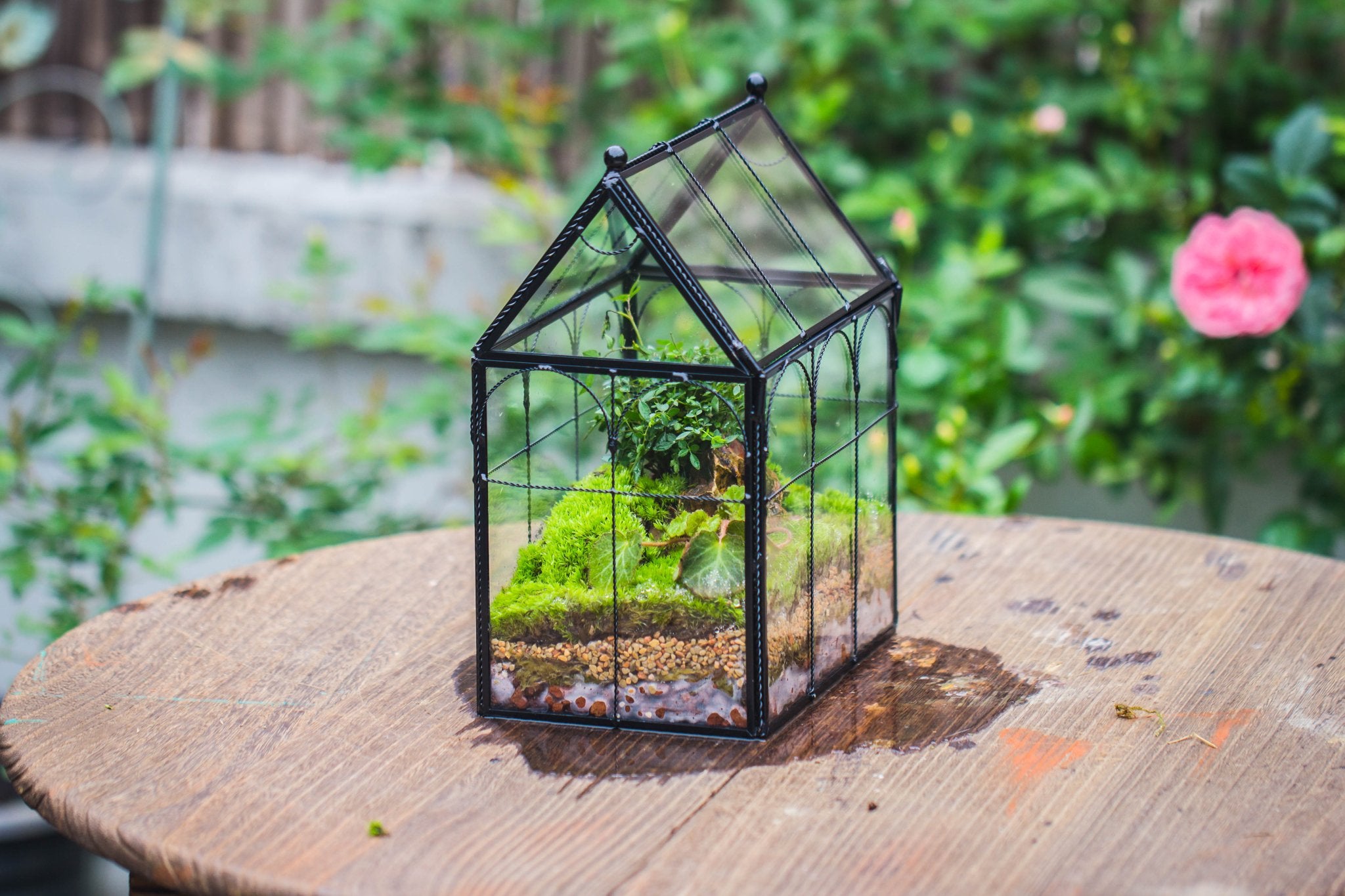 small glass plant house NCYP Tall Glass Geometric Terrarium Twisted Brass Wire Decorated Black Vintage House Shape for Insect Snail Moss Succulents Cacti Air Plant