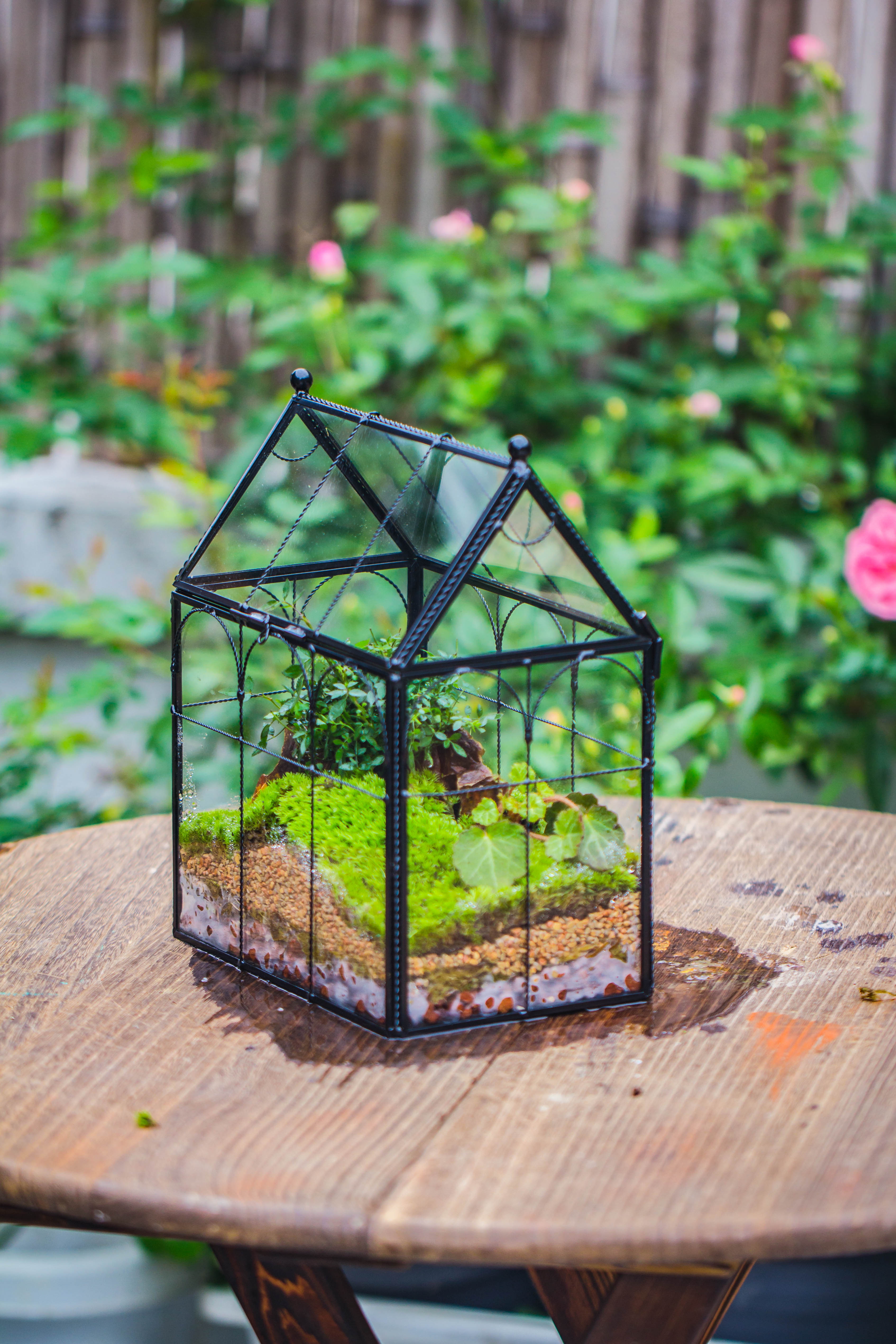 NCYP Tall Glass Geometric Terrarium Brass Twisted Brass Wire Decorated Black Vintage House Shape for Insect Snail Moss Succulents Cacti Air Plant - NCYPgarden