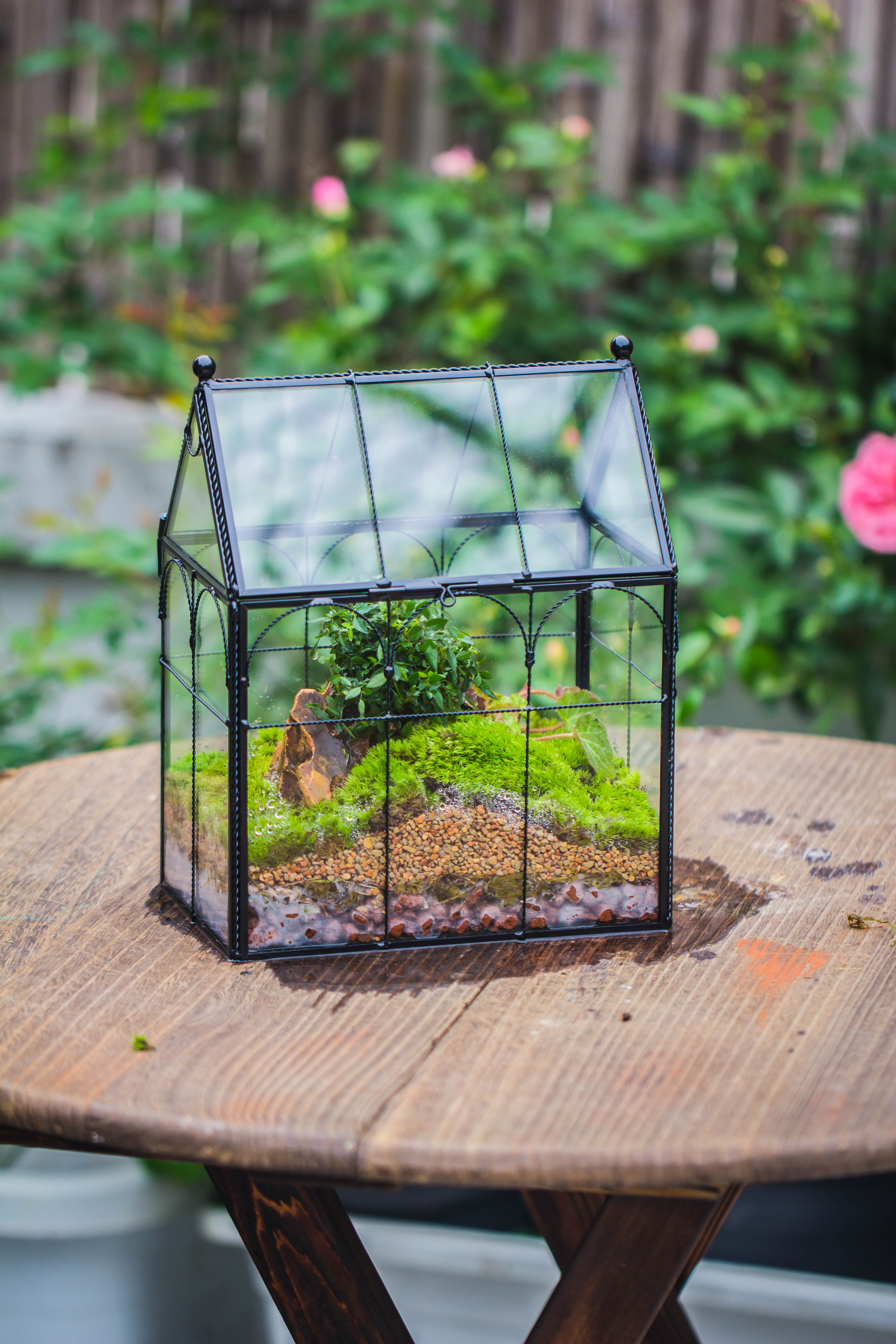 NCYP Tall Glass Geometric Terrarium Brass Twisted Brass Wire Decorated Black Vintage House Shape for Insect Snail Moss Succulents Cacti Air Plant - NCYPgarden