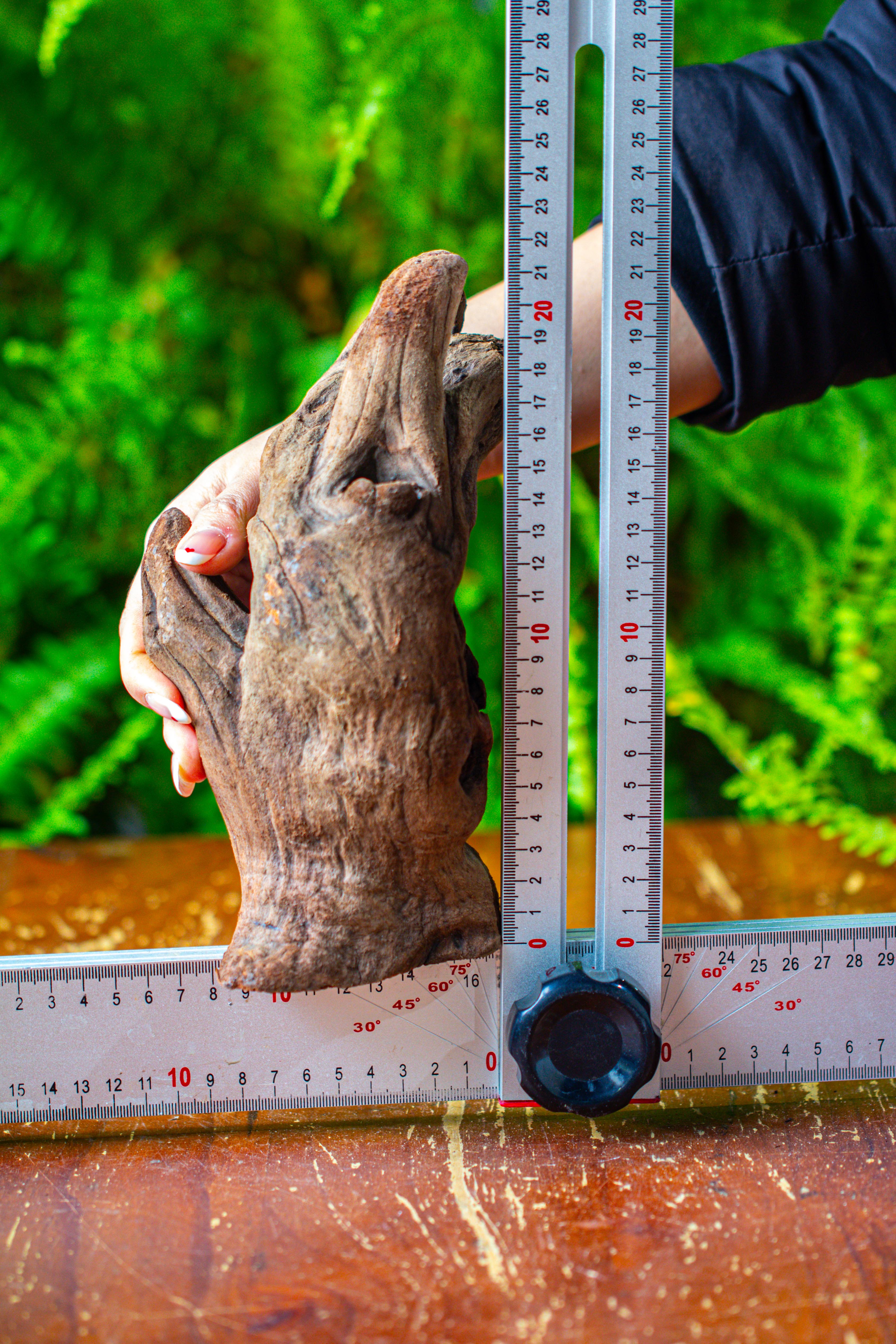 driftwood for moss terrarium, miniature, micro landscape,T8006 - NCYPgarden