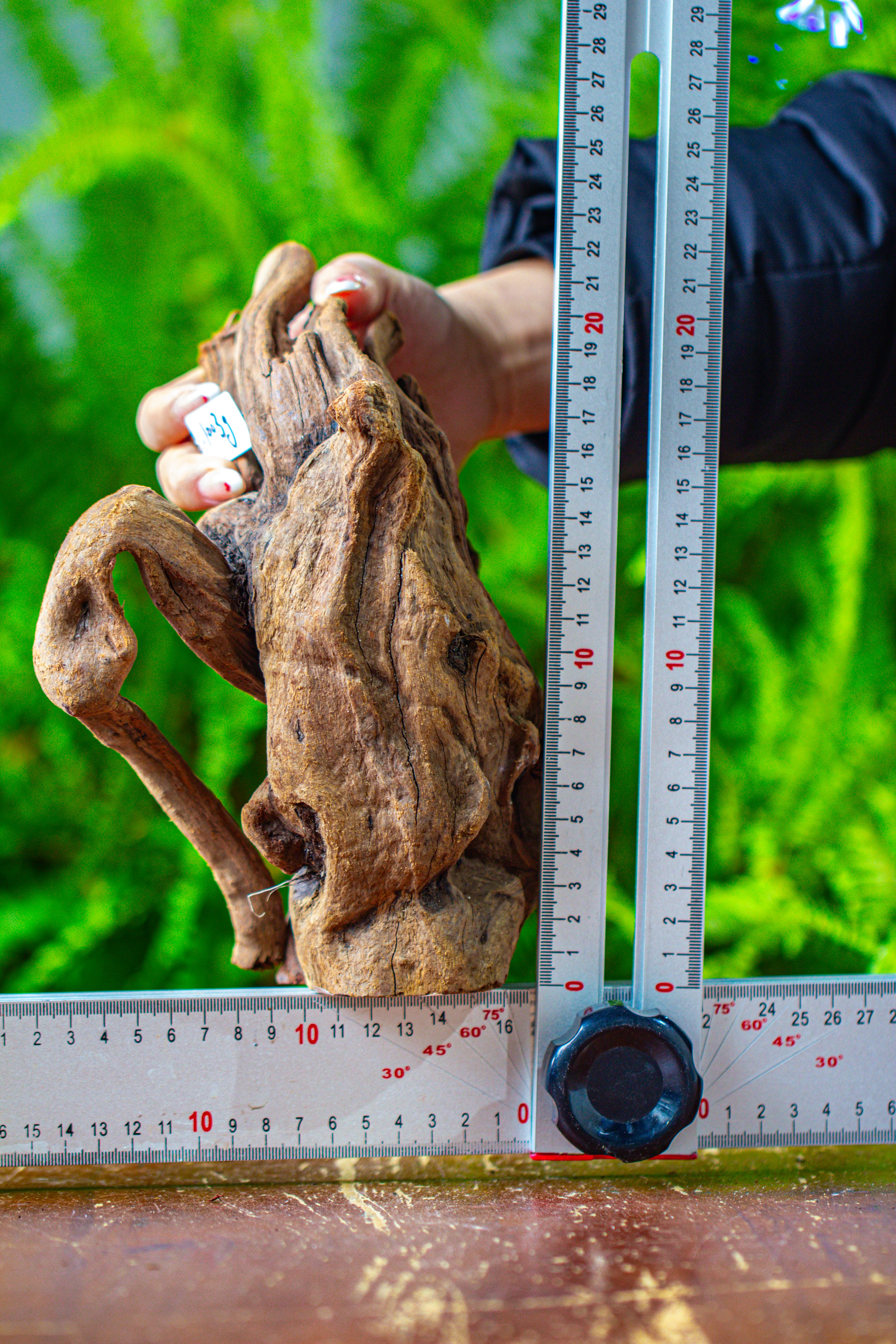 driftwood for moss terrarium, miniature, micro landscape,T8008 - NCYPgarden