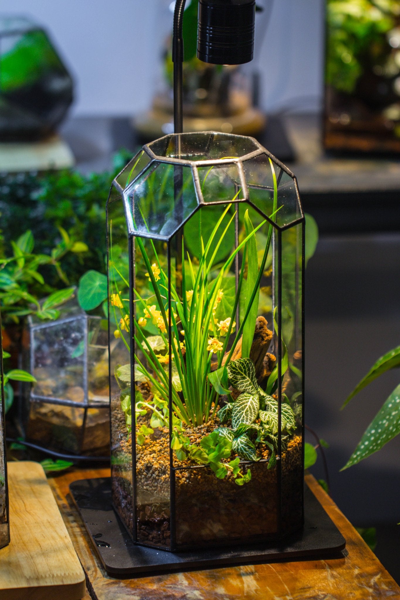 Vintage Tall Octagon Geometric Tin Glass Terrarium , 12.6