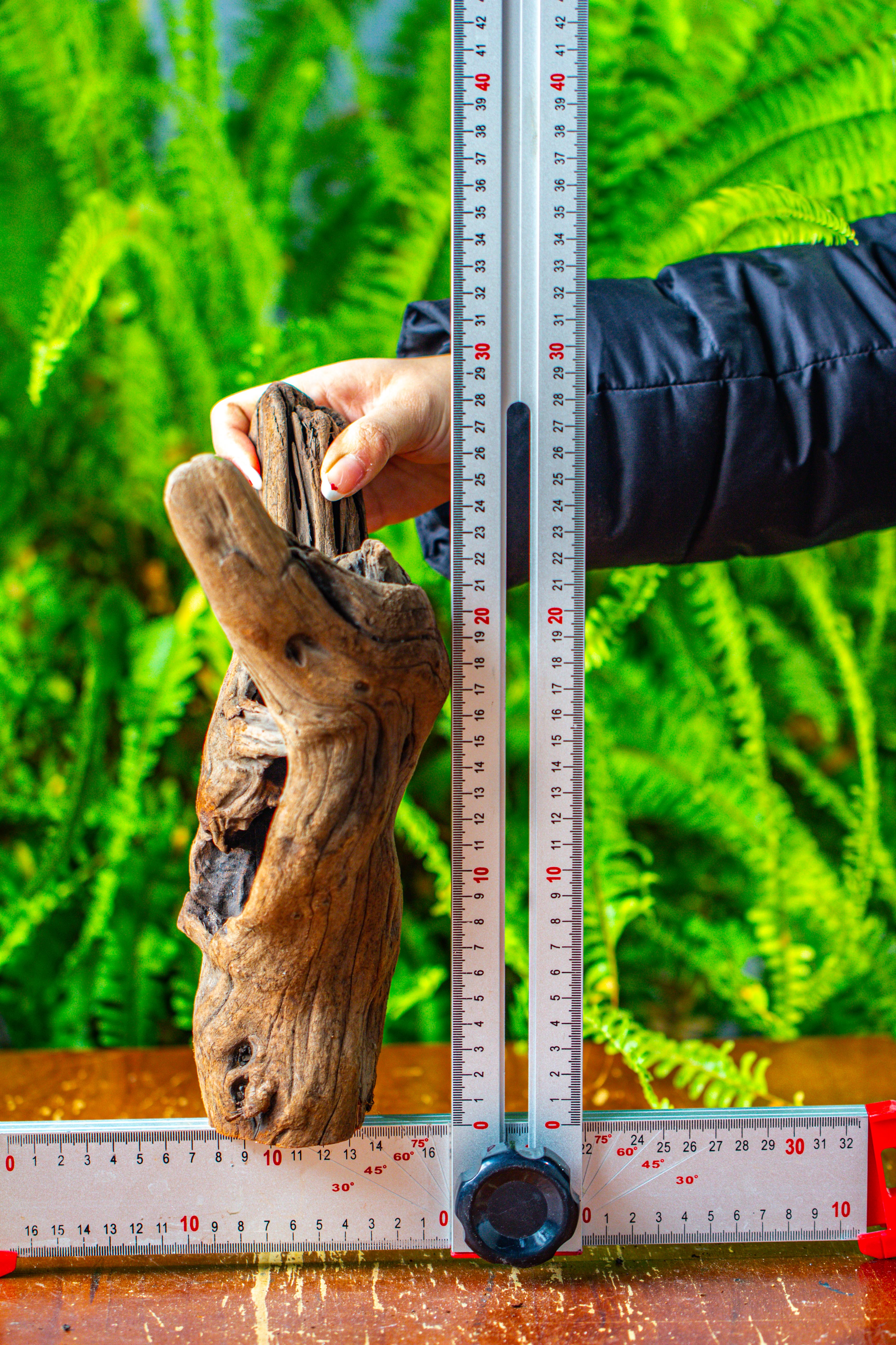 driftwood for moss terrarium, miniature, micro landscape,T8007 - NCYPgarden