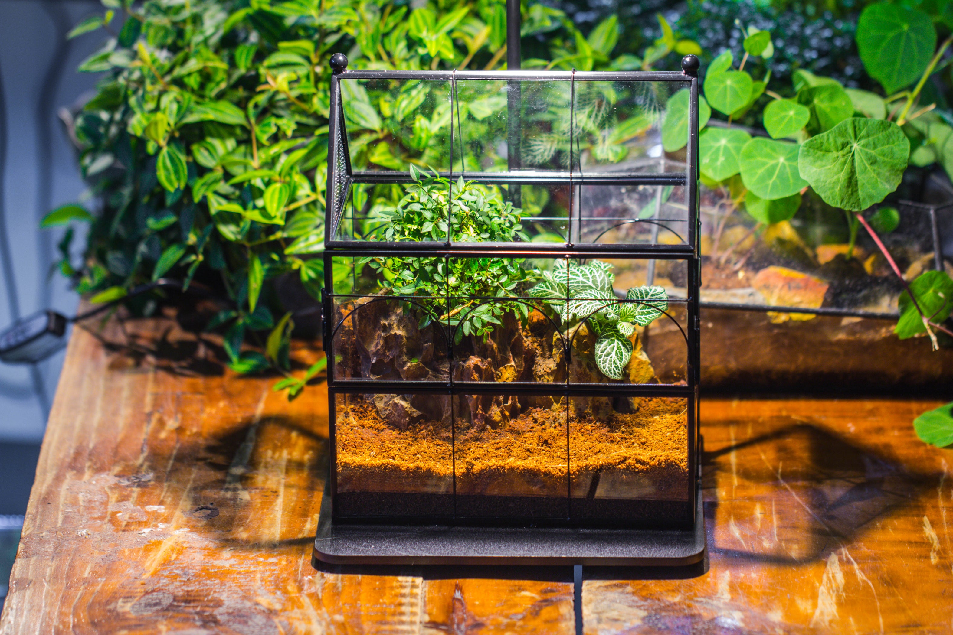 NCYP Vintage House Shape Tin and Glass Geometric Terrarium, with side