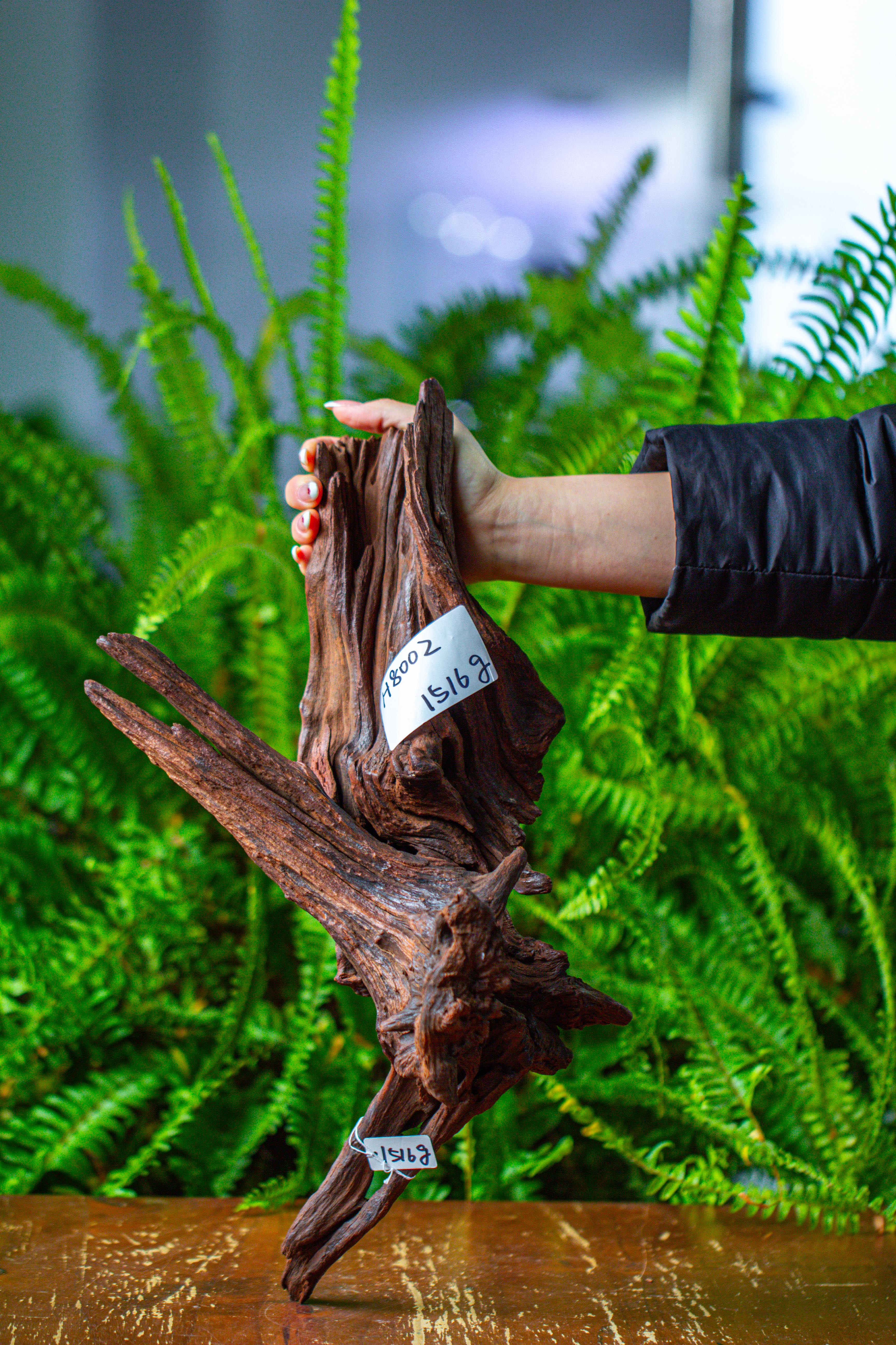 driftwood for moss terrarium, miniature, micro landscape, H8002 - NCYPgarden