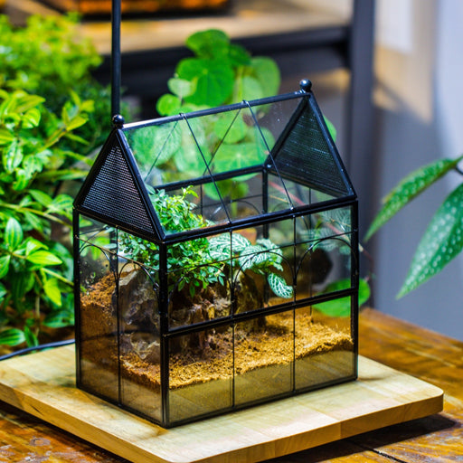 Insects terrariums — NCYPgarden
