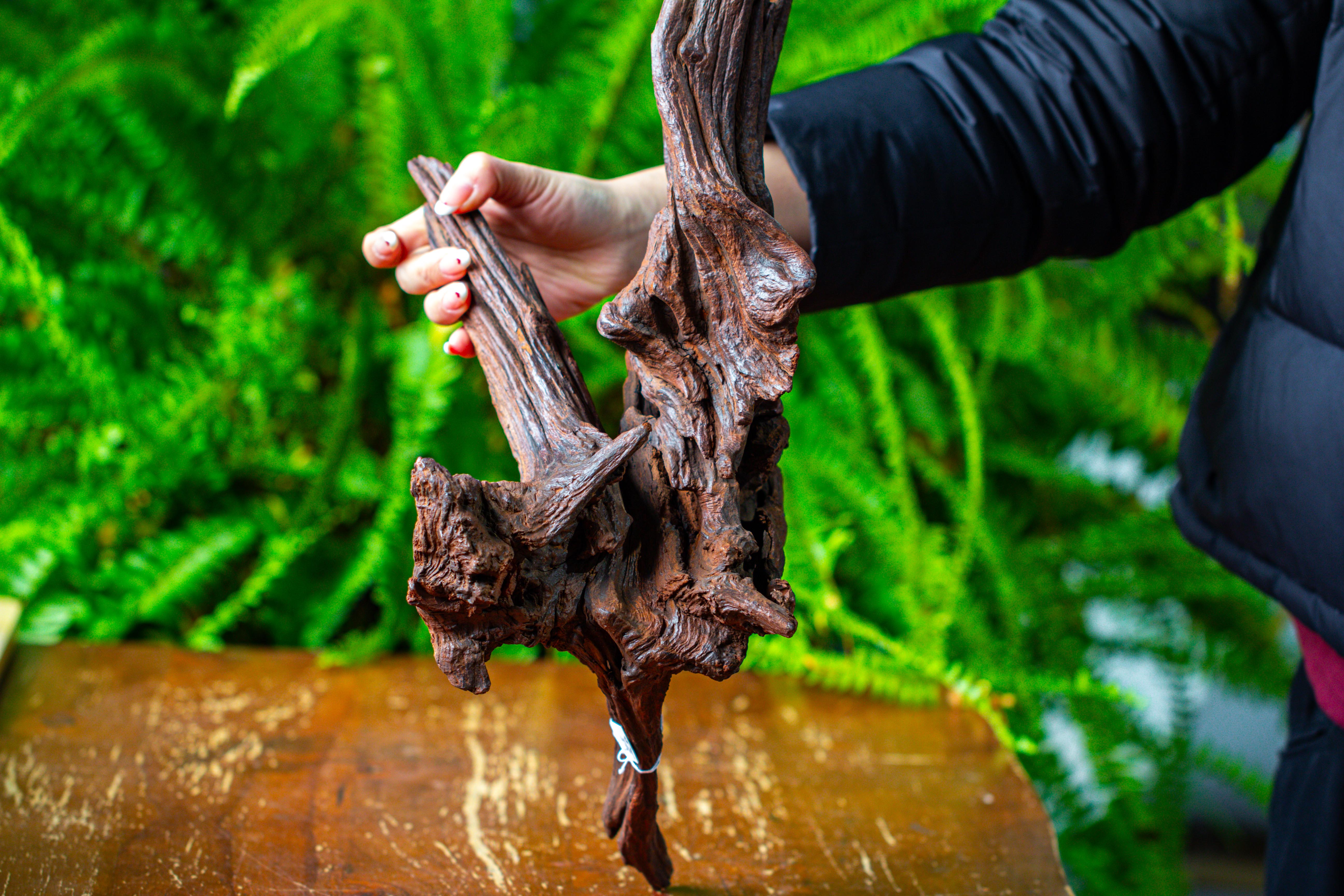 driftwood for moss terrarium, miniature, micro landscape, H8002 - NCYPgarden