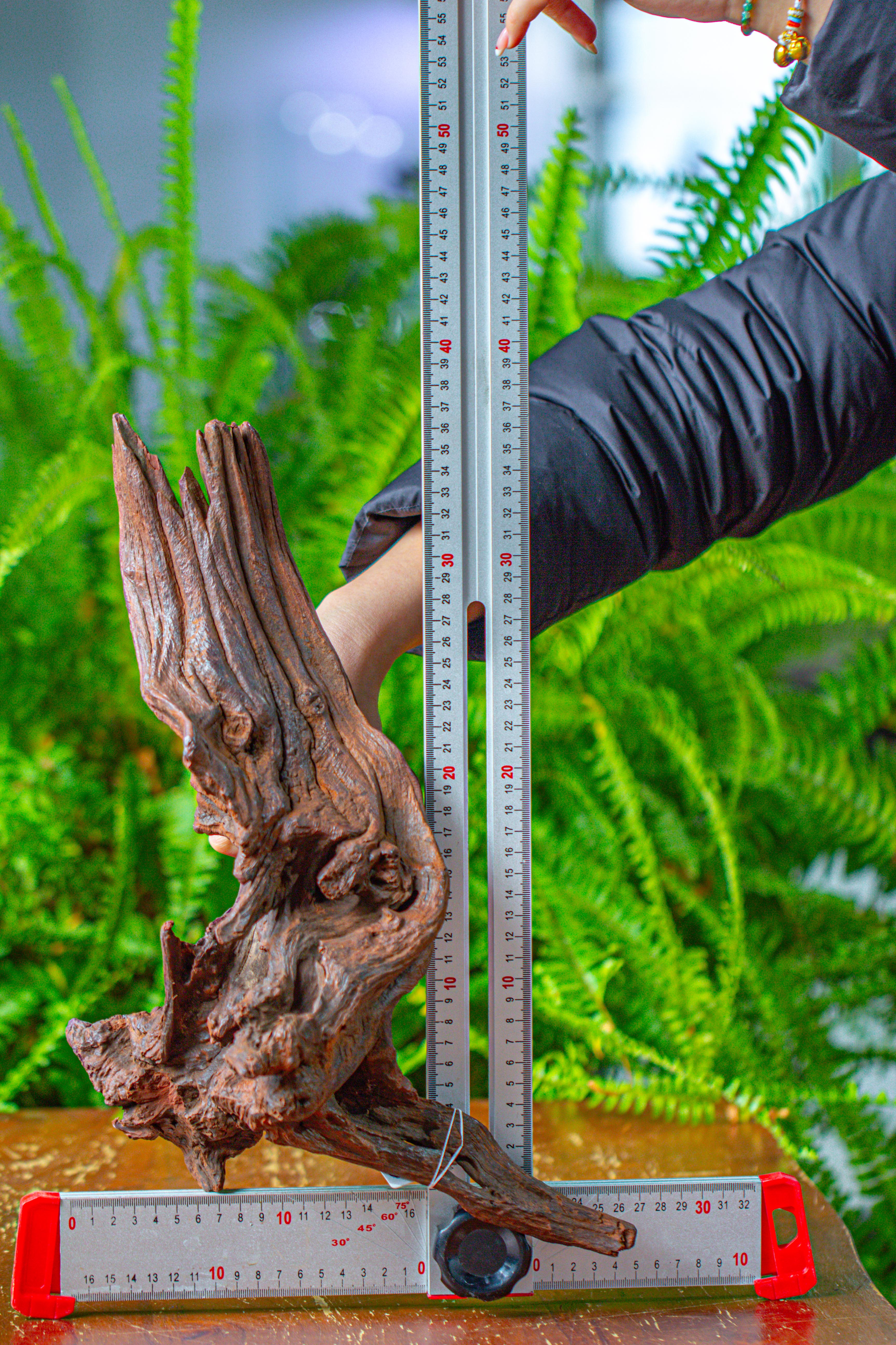 driftwood for moss terrarium, miniature, micro landscape, H8002 - NCYPgarden