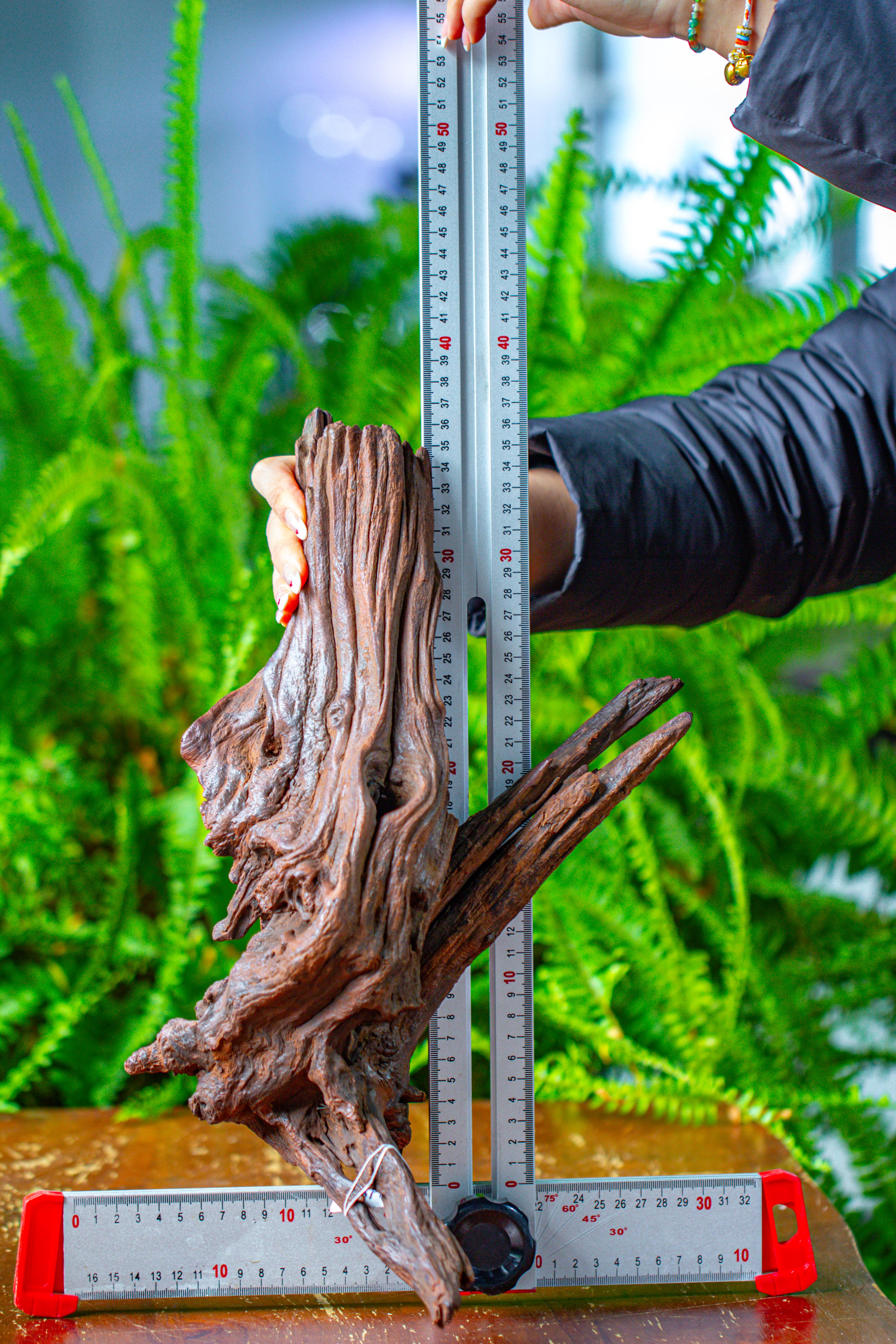 driftwood for moss terrarium, miniature, micro landscape, H8002 - NCYPgarden