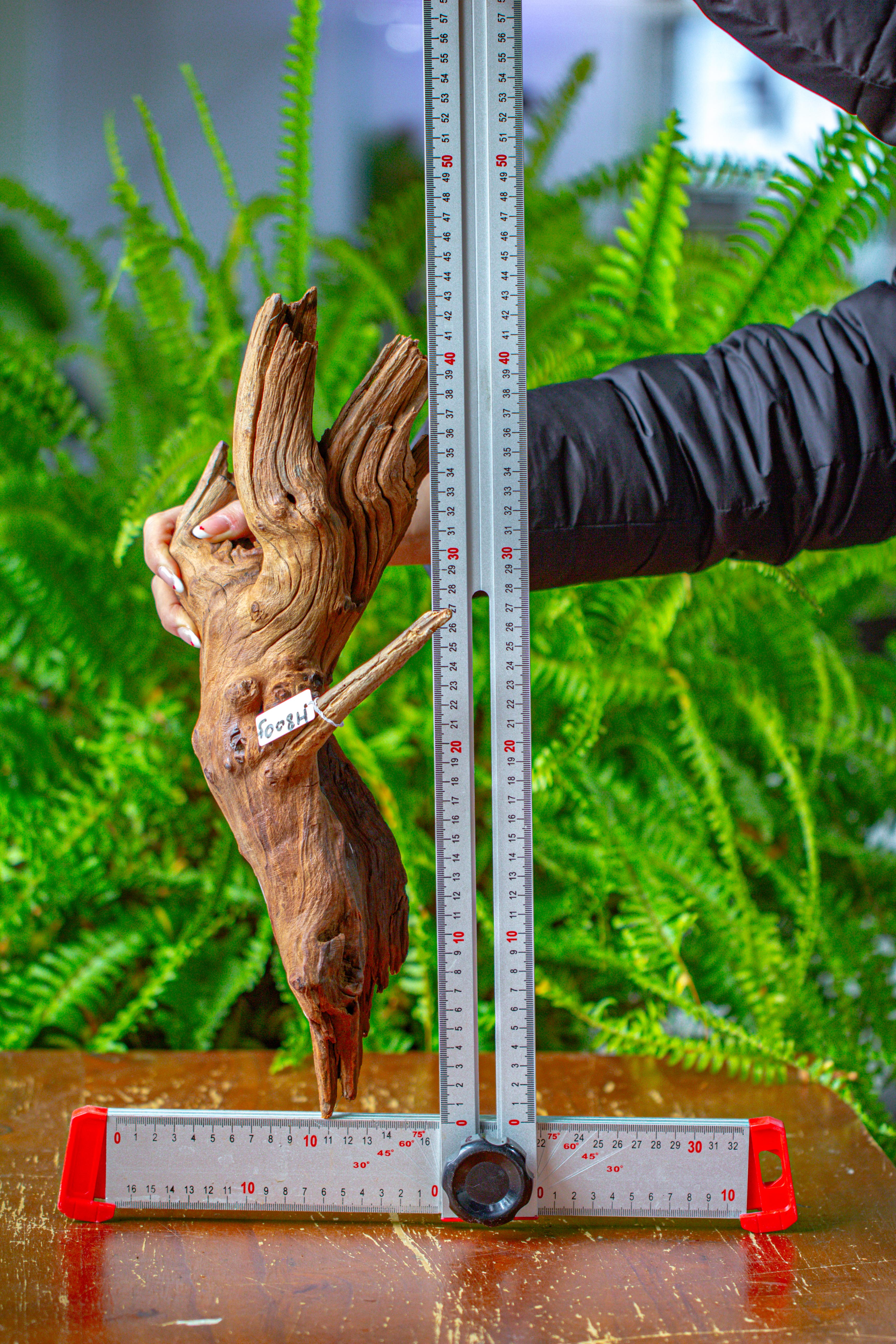 driftwood for moss terrarium, miniature, micro landscape, H8005 - NCYPgarden