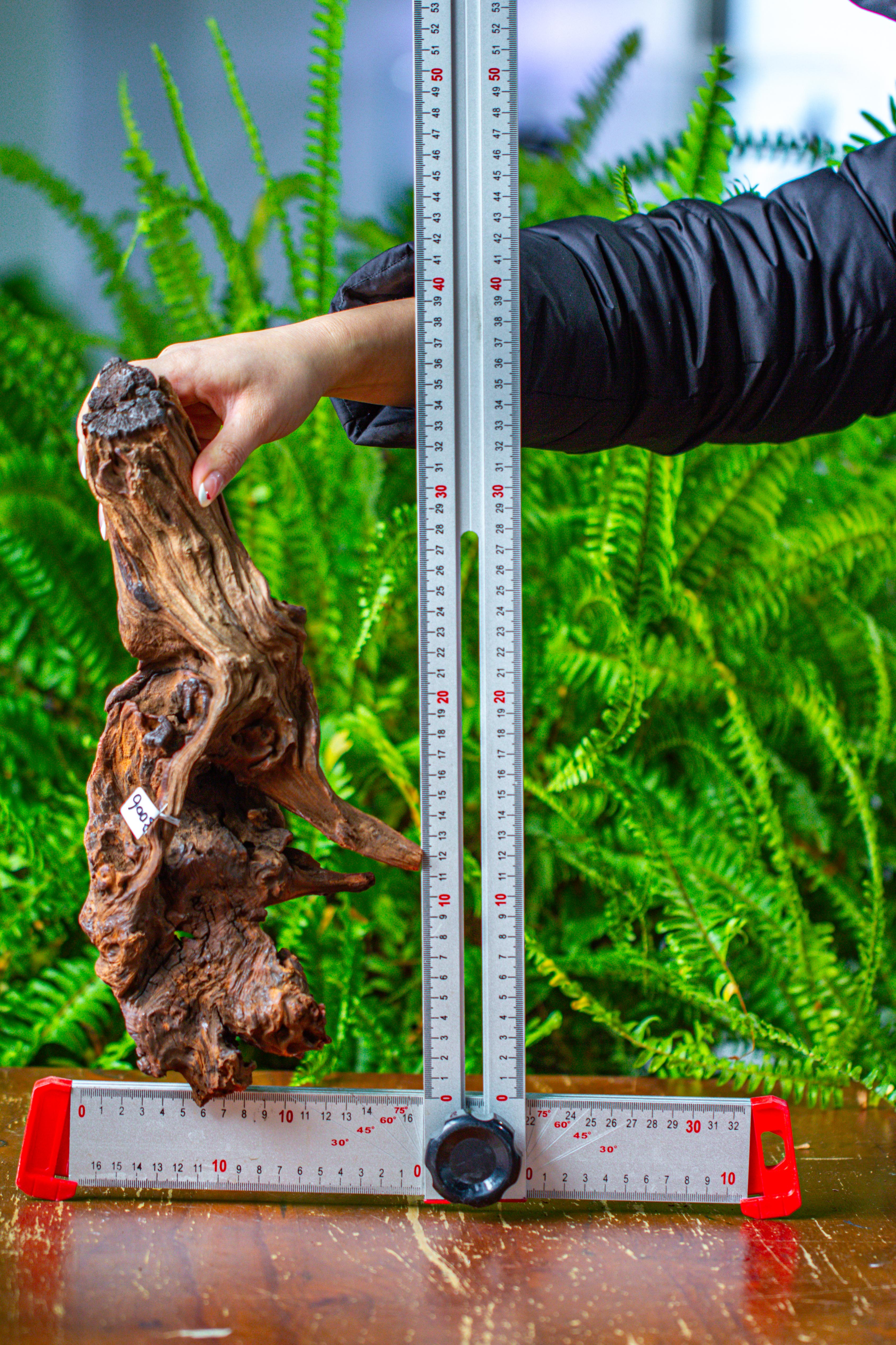 driftwood for moss terrarium, miniature, micro landscape, H8006 - NCYPgarden