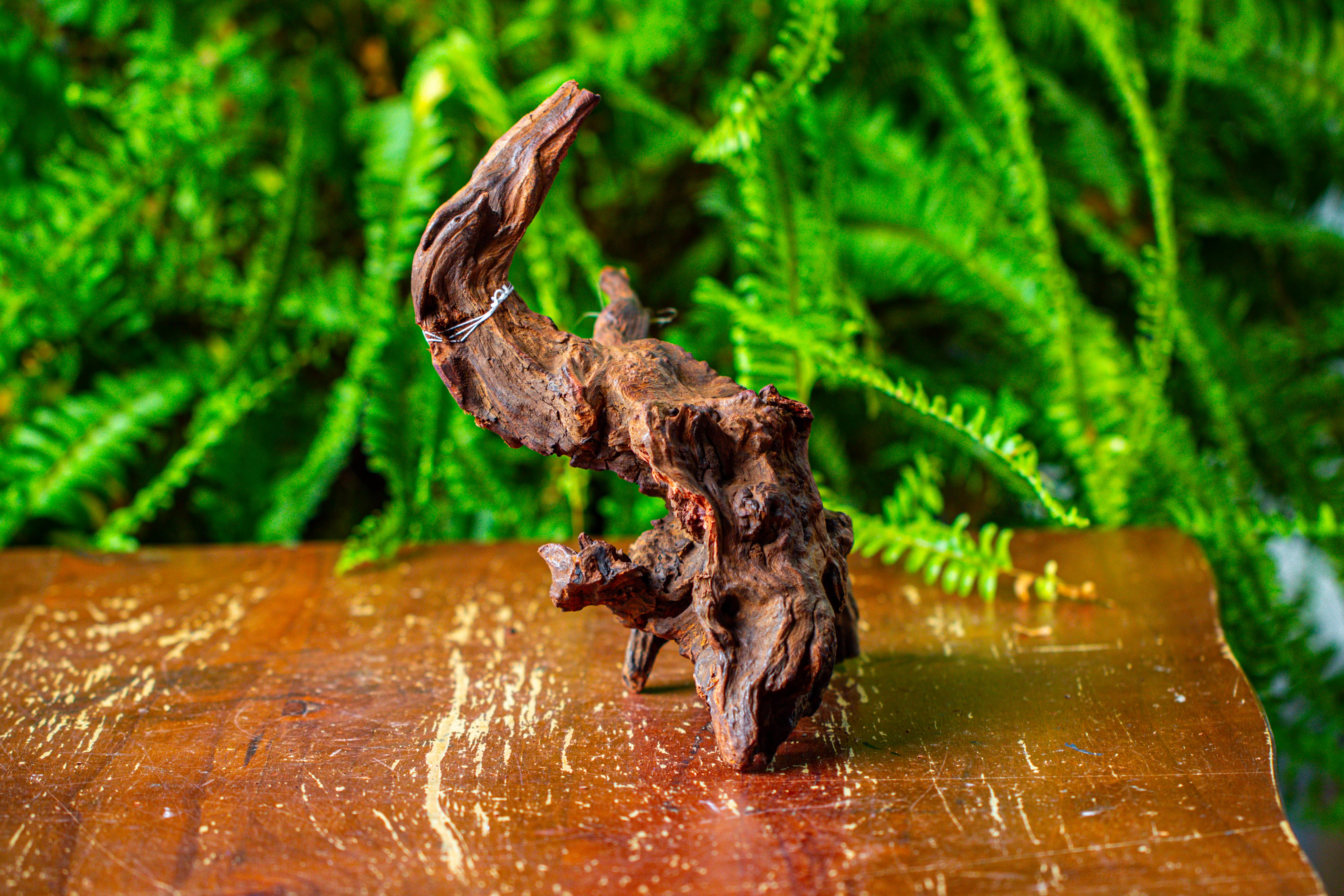 driftwood for moss terrarium, miniature, micro landscape, H8003 - NCYPgarden