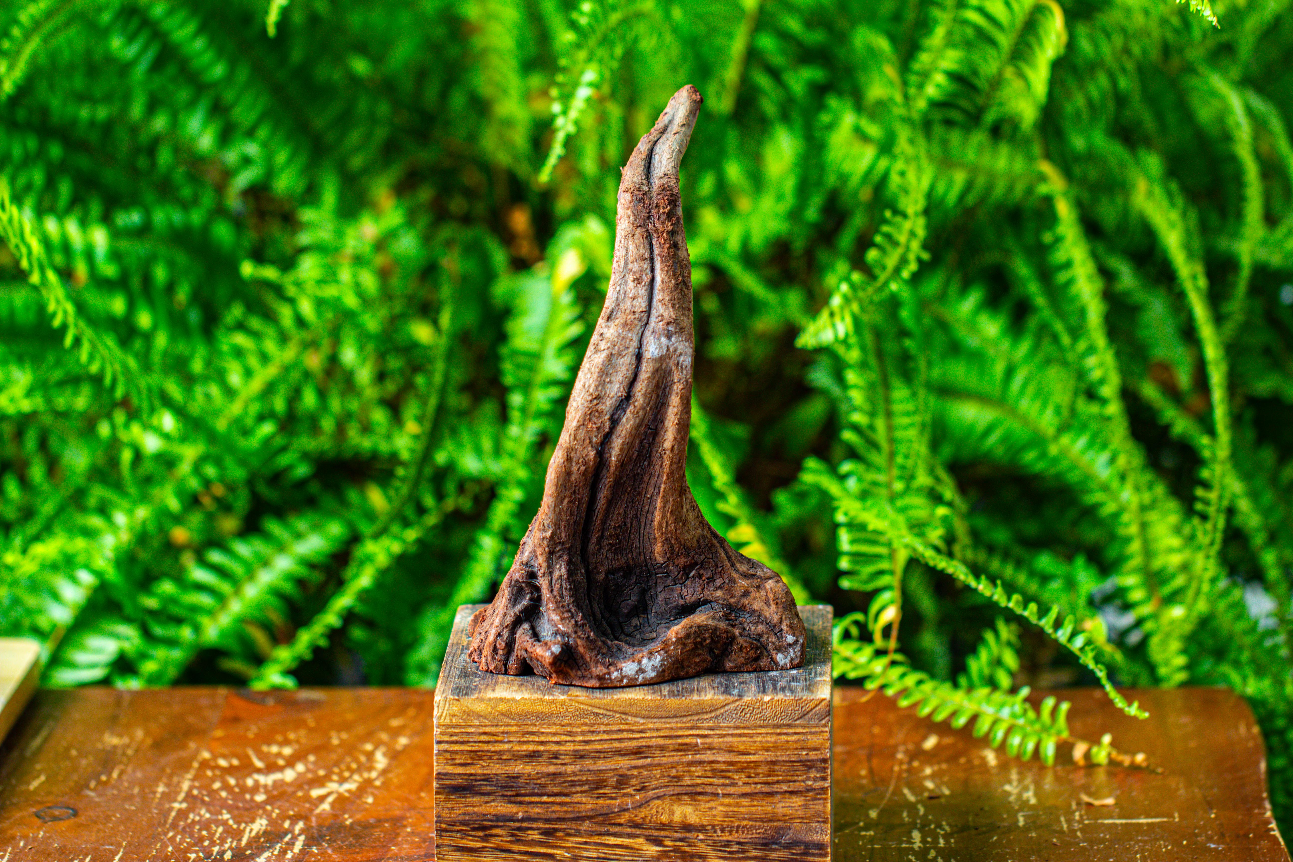 driftwood for moss terrarium, miniature, micro landscape,TS001 - NCYPgarden
