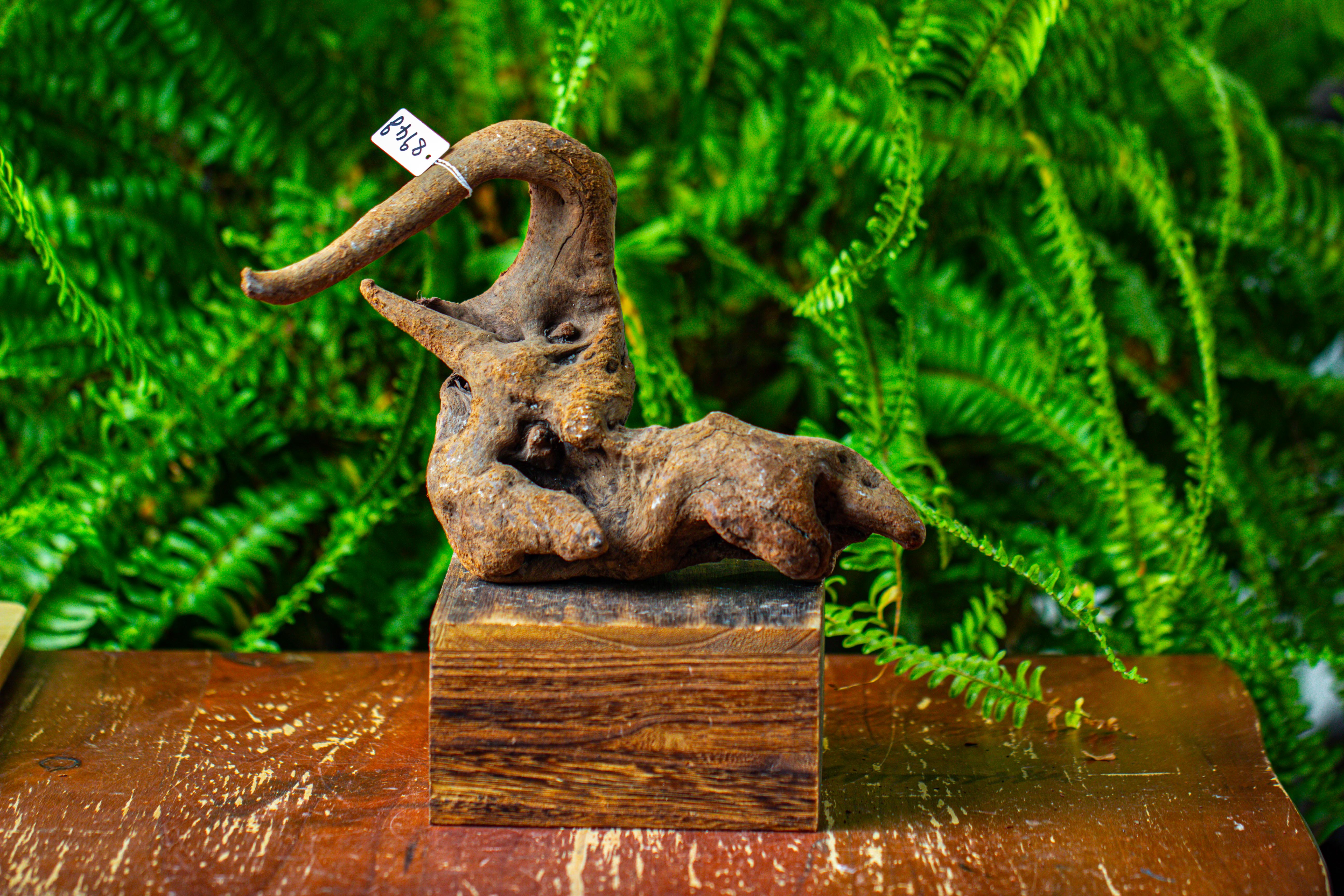 driftwood for moss terrarium, miniature, micro landscape,TS005 - NCYPgarden