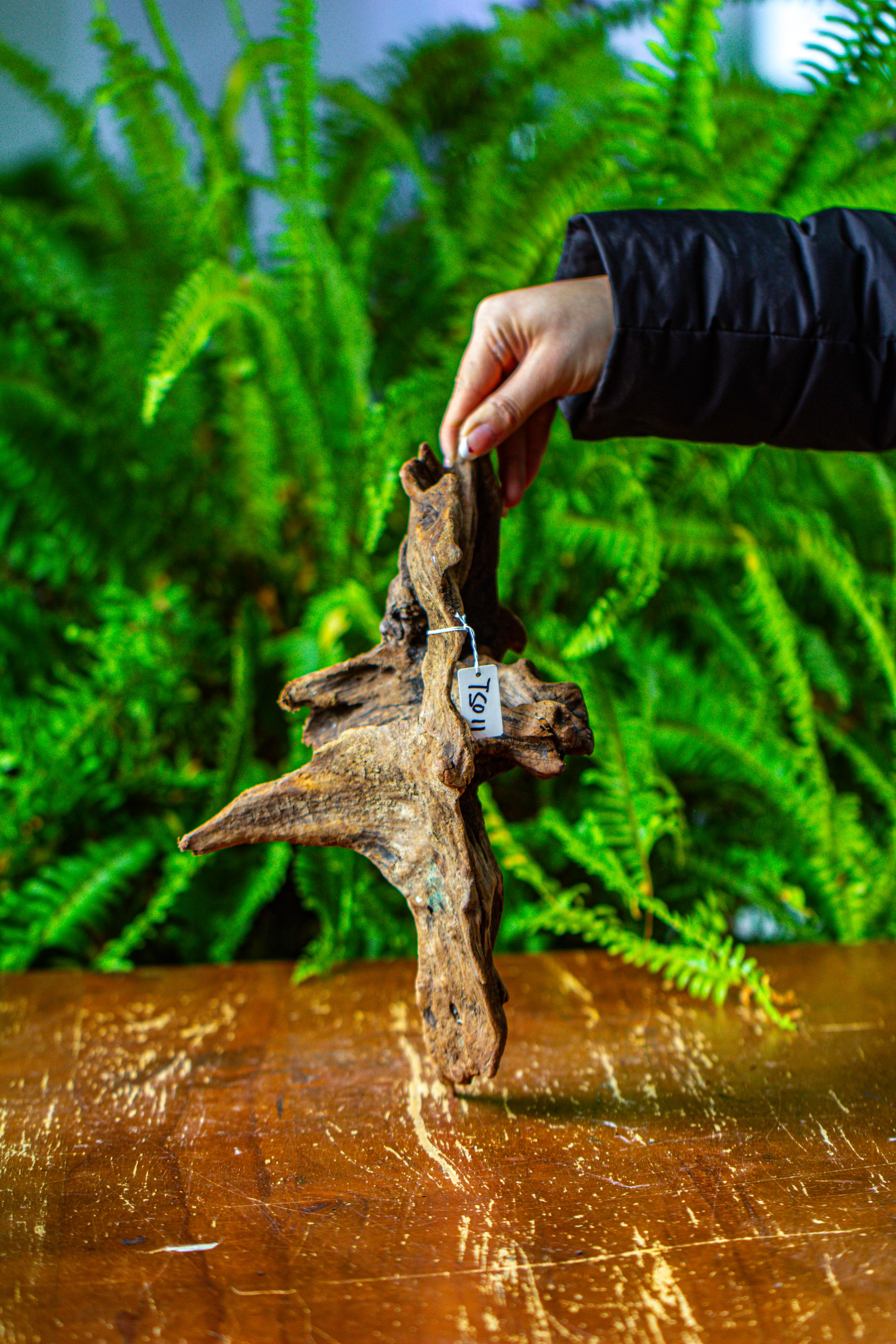 driftwood for moss terrarium, miniature, micro landscape,TS011 - NCYPgarden