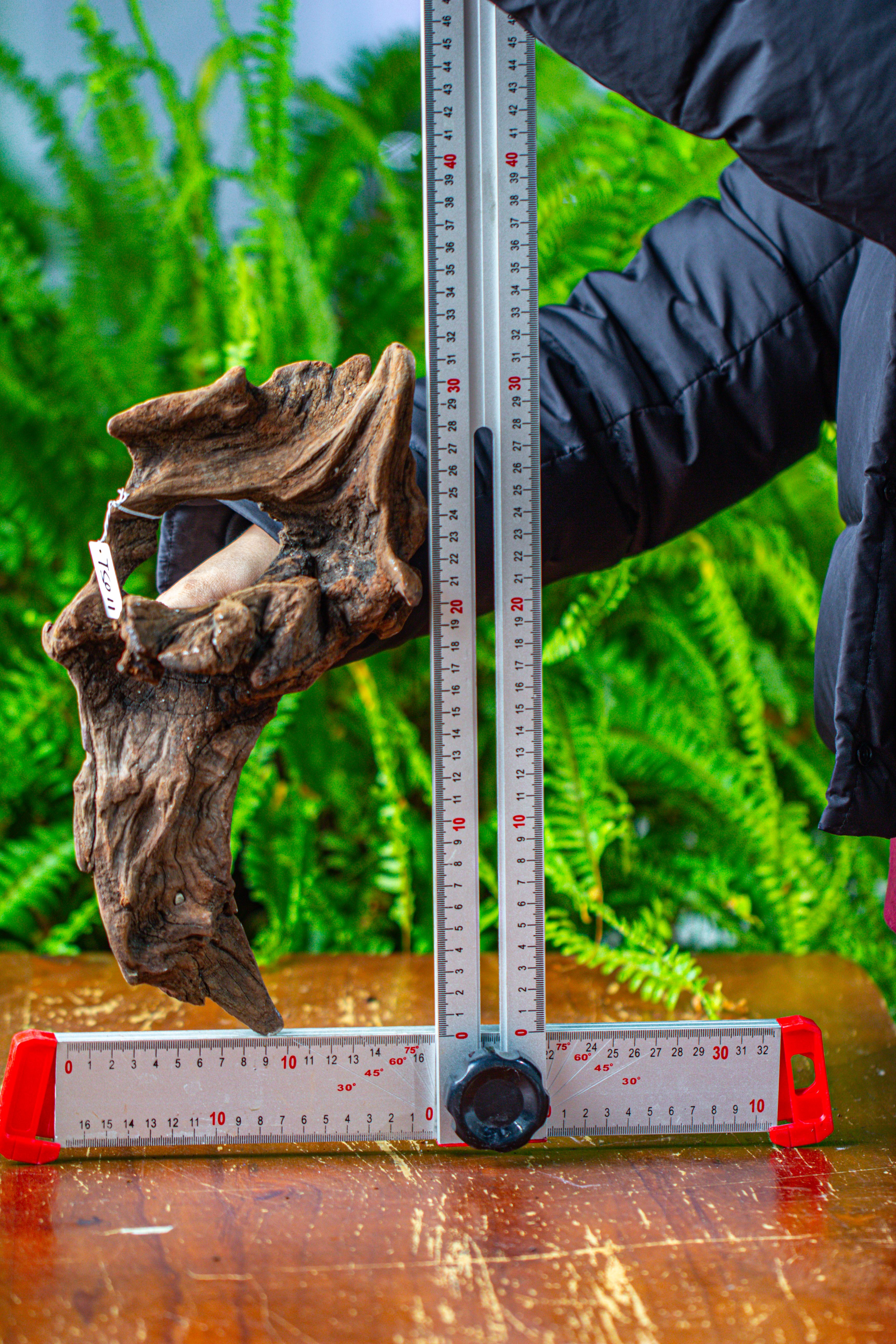 driftwood for moss terrarium, miniature, micro landscape,TS011 - NCYPgarden