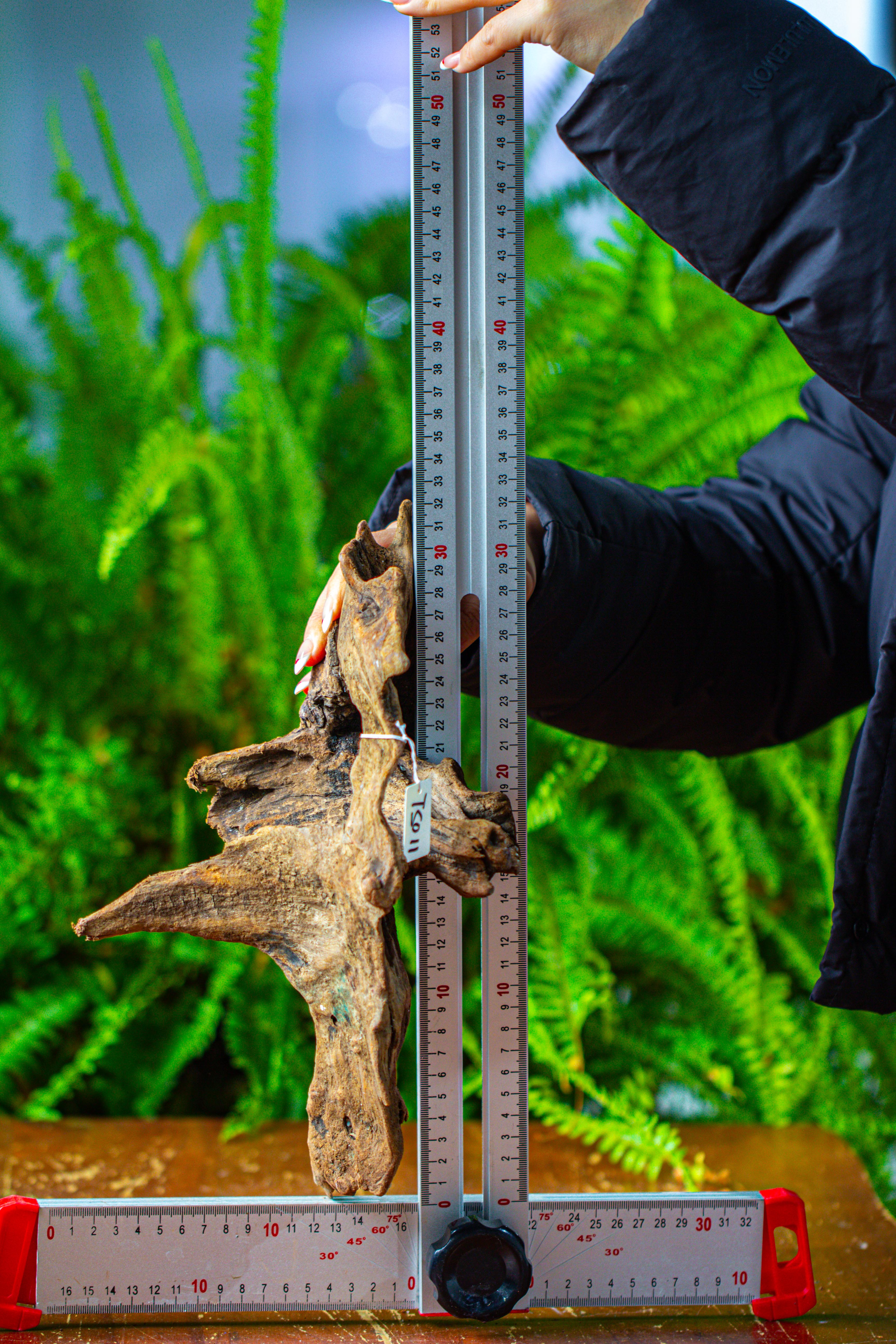 driftwood for moss terrarium, miniature, micro landscape,TS011 - NCYPgarden