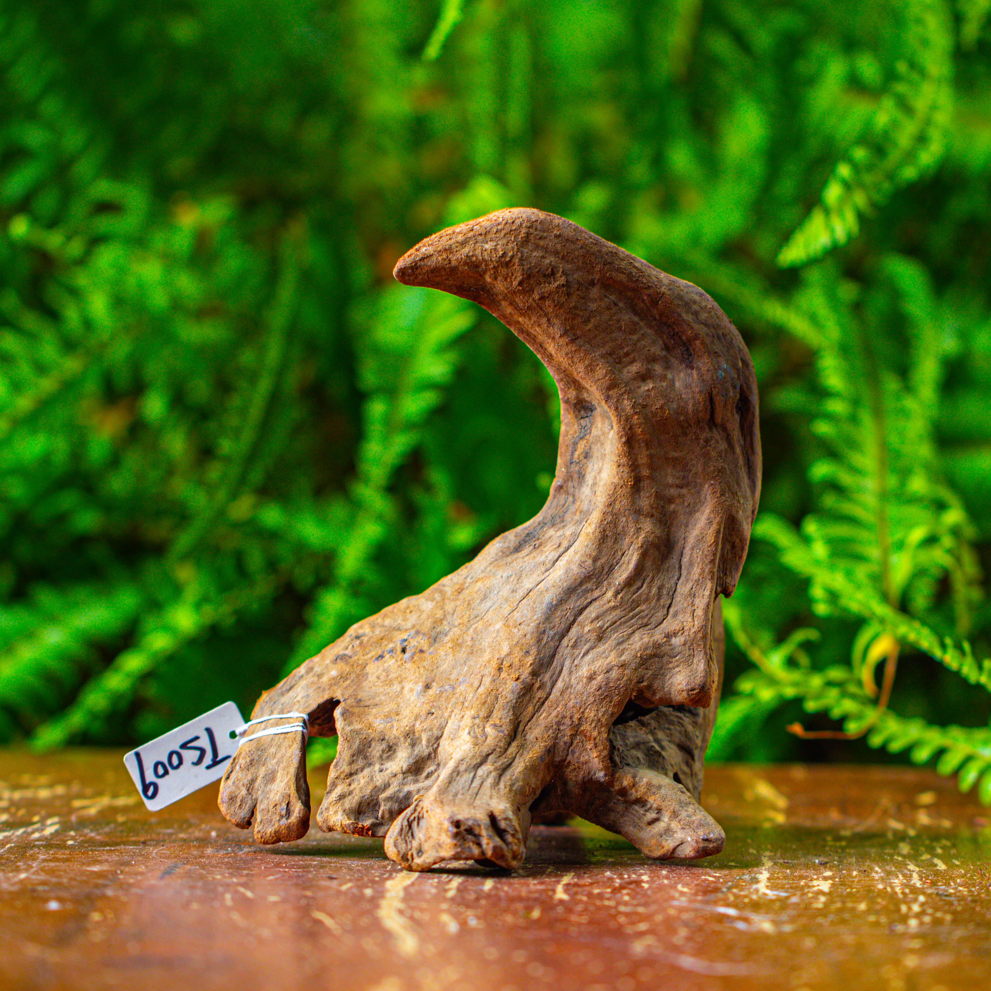 driftwood for moss terrarium, miniature, micro landscape,TS009 - NCYPgarden