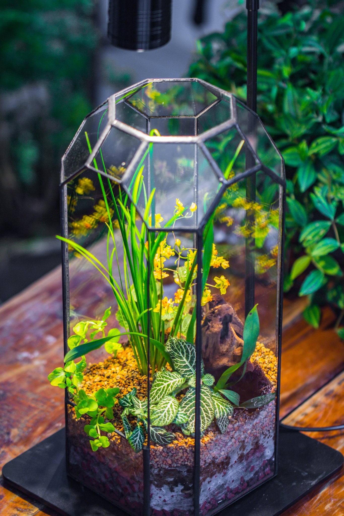 Vintage Tall Octagon Geometric Tin Glass Terrarium , 12.6