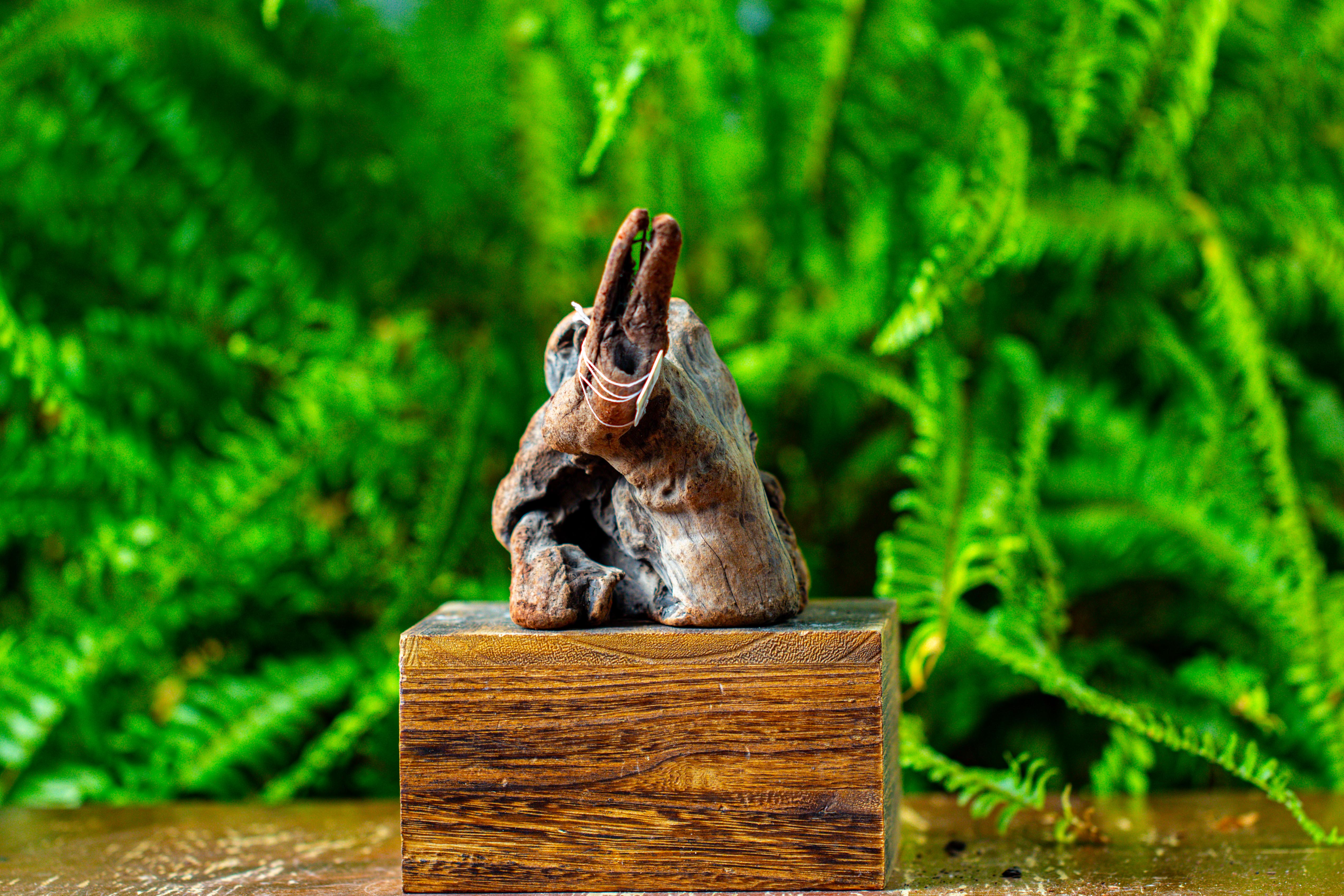 driftwood for moss terrarium, miniature, micro landscape,TS002 - NCYPgarden