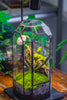 Vintage Tall Octagon Geometric Tin Glass Terrarium , 12.6" , close, suitable for tall plants, orchid, small begonia Pitcher, Micro landscape    -with warm light set - NCYPgarden