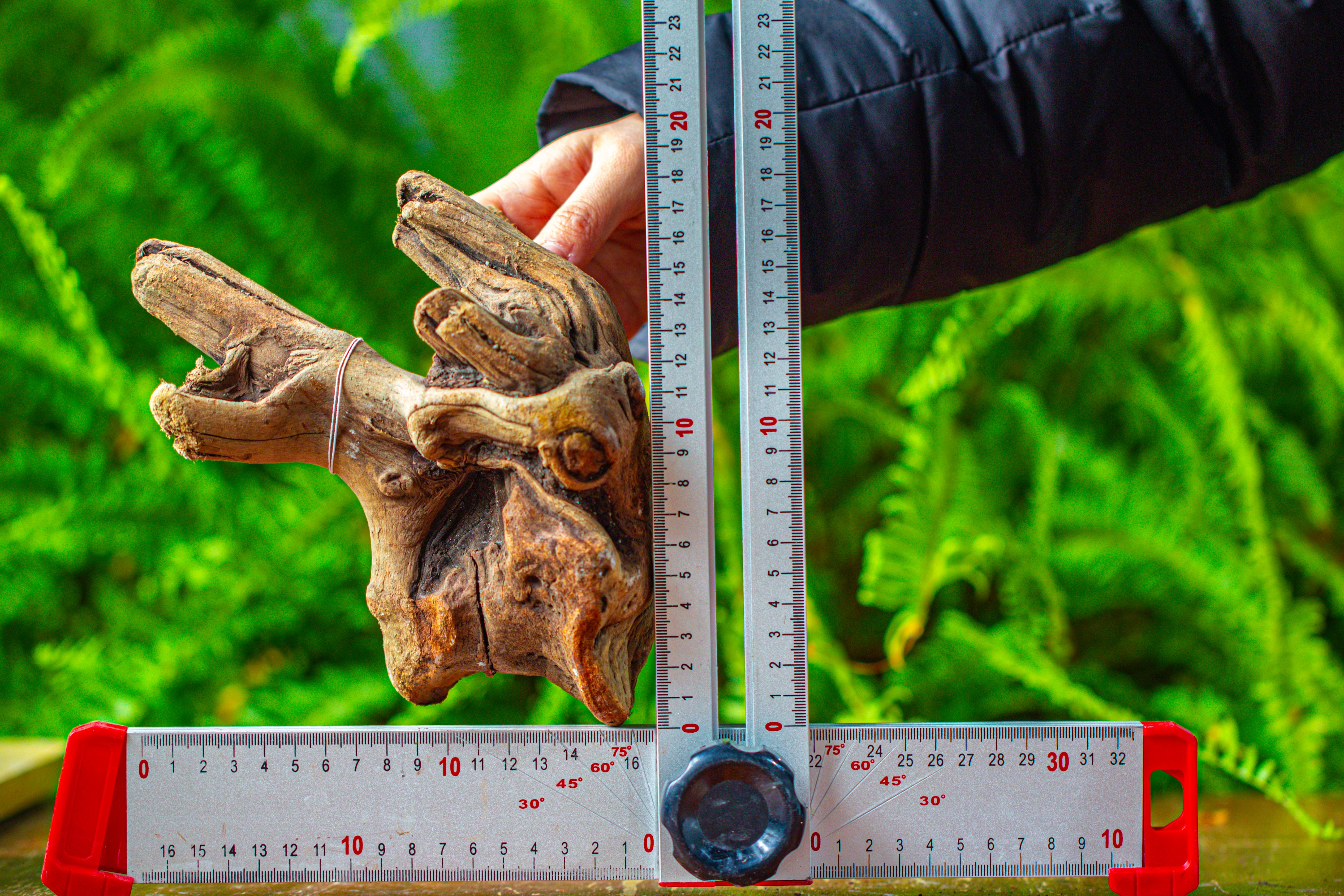 driftwood for moss terrarium, miniature, micro landscape,TS006 - NCYPgarden