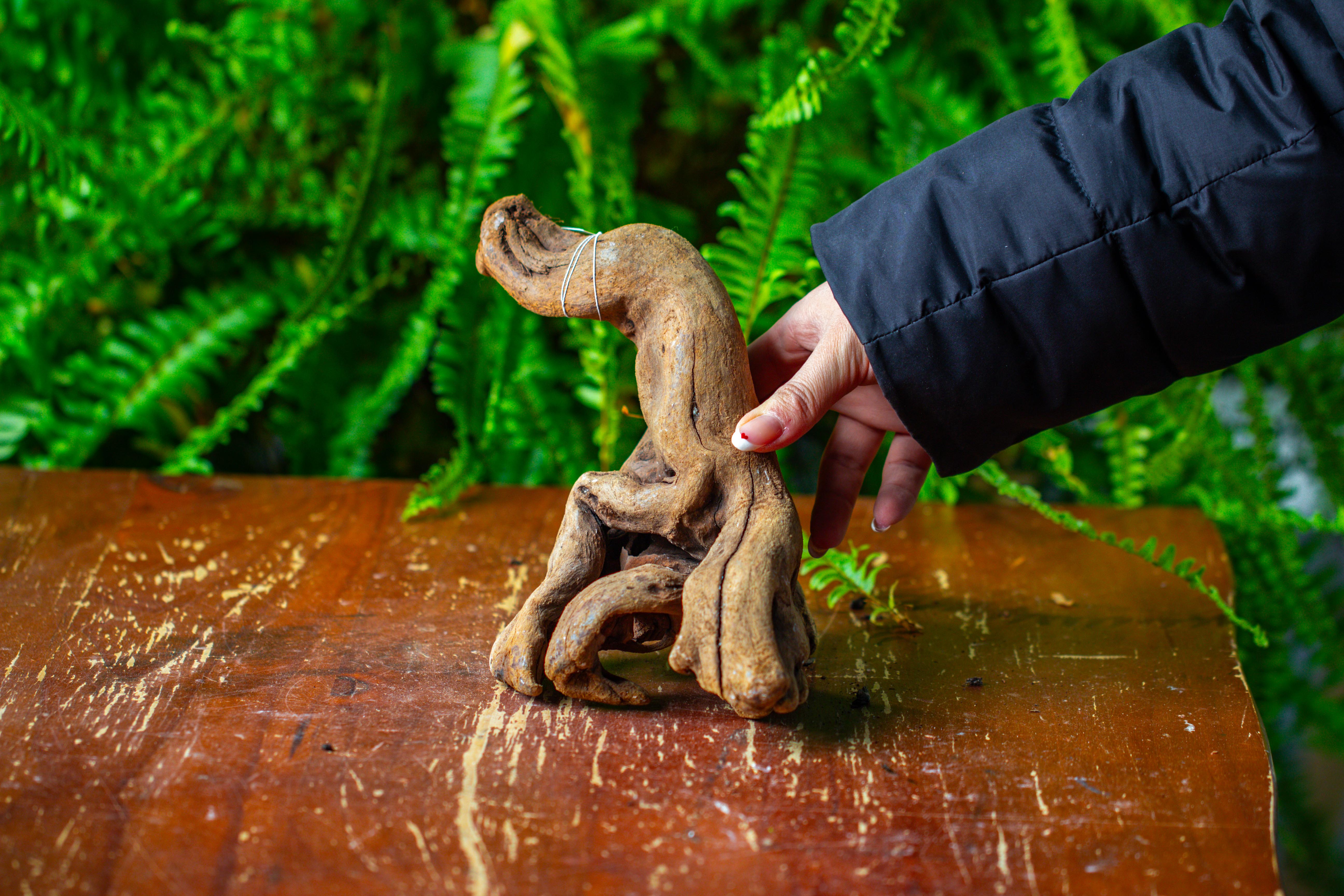 driftwood for moss terrarium, miniature, micro landscape,TS007 - NCYPgarden