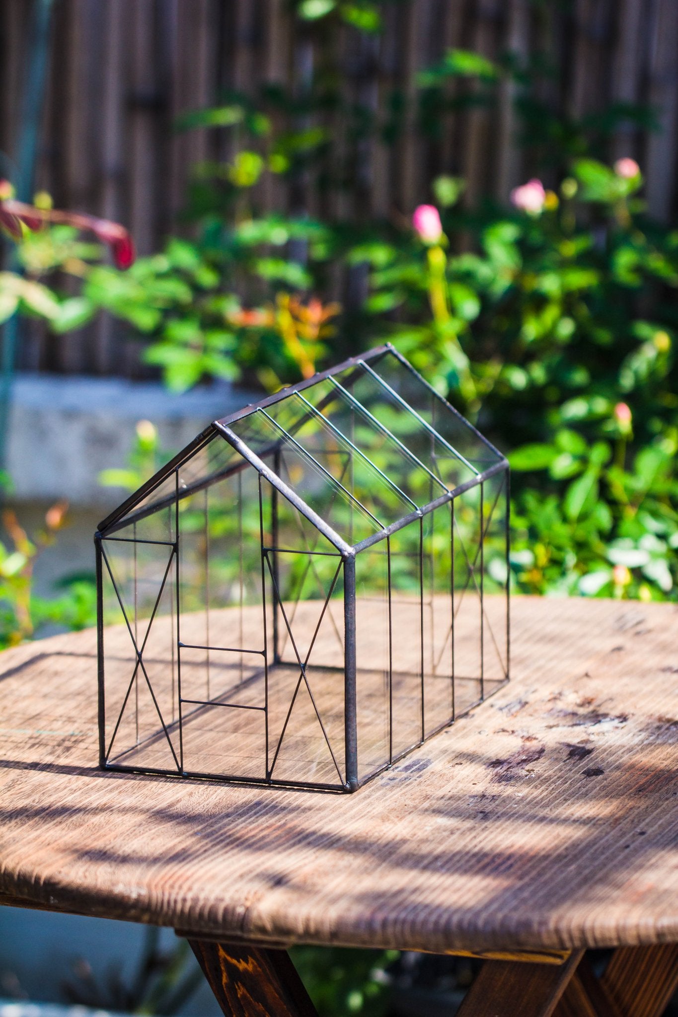 shade terrarium plants Vintge Greenhouse inspired tin and glass geometric Terrarium, Close, for moss, fern, shade plants, micro landscape PH08F2