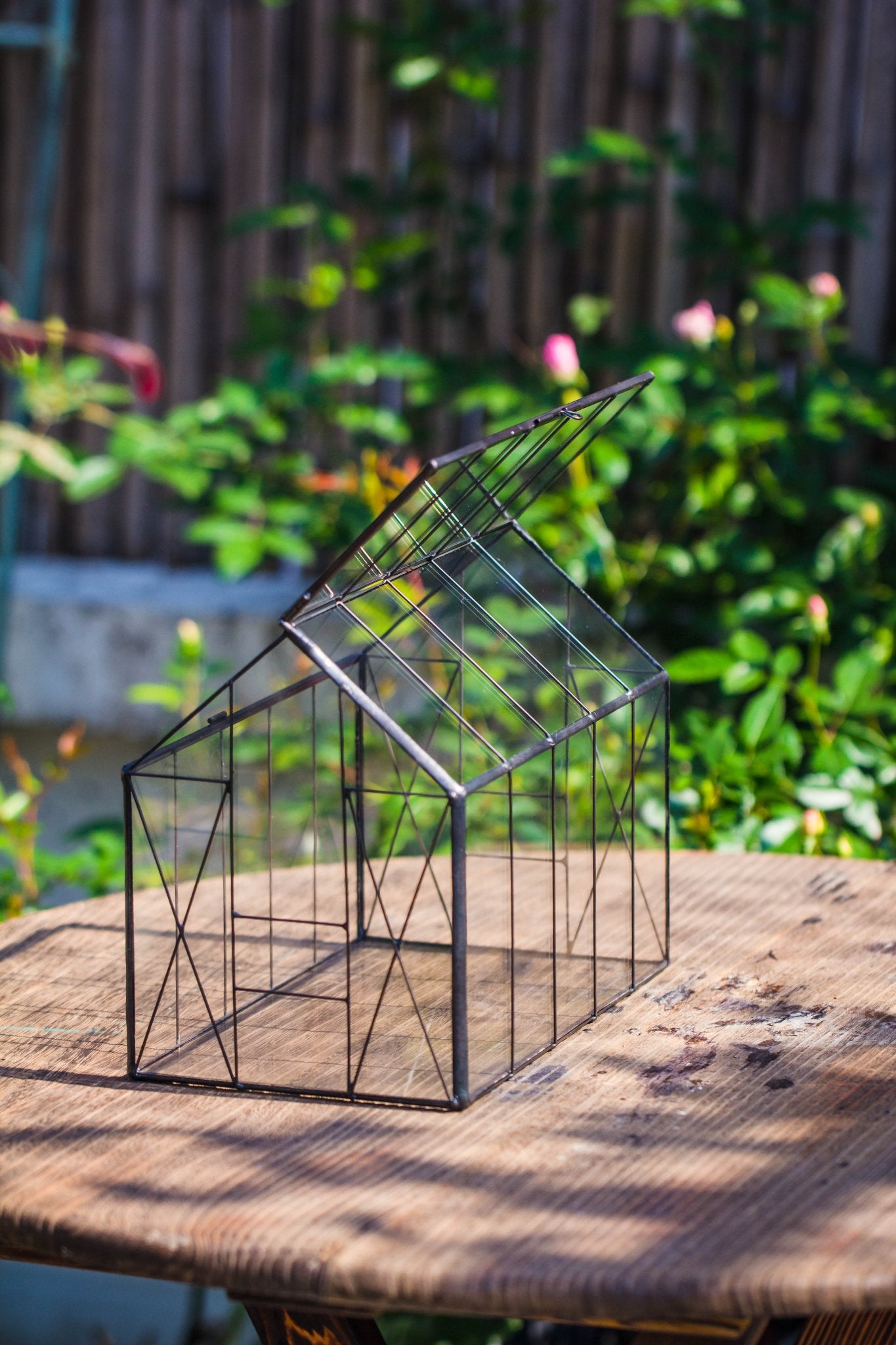 terrarium shade plants Vintge Greenhouse inspired tin and glass geometric Terrarium, Close, for moss, fern, shade plants, micro landscape PH08F2