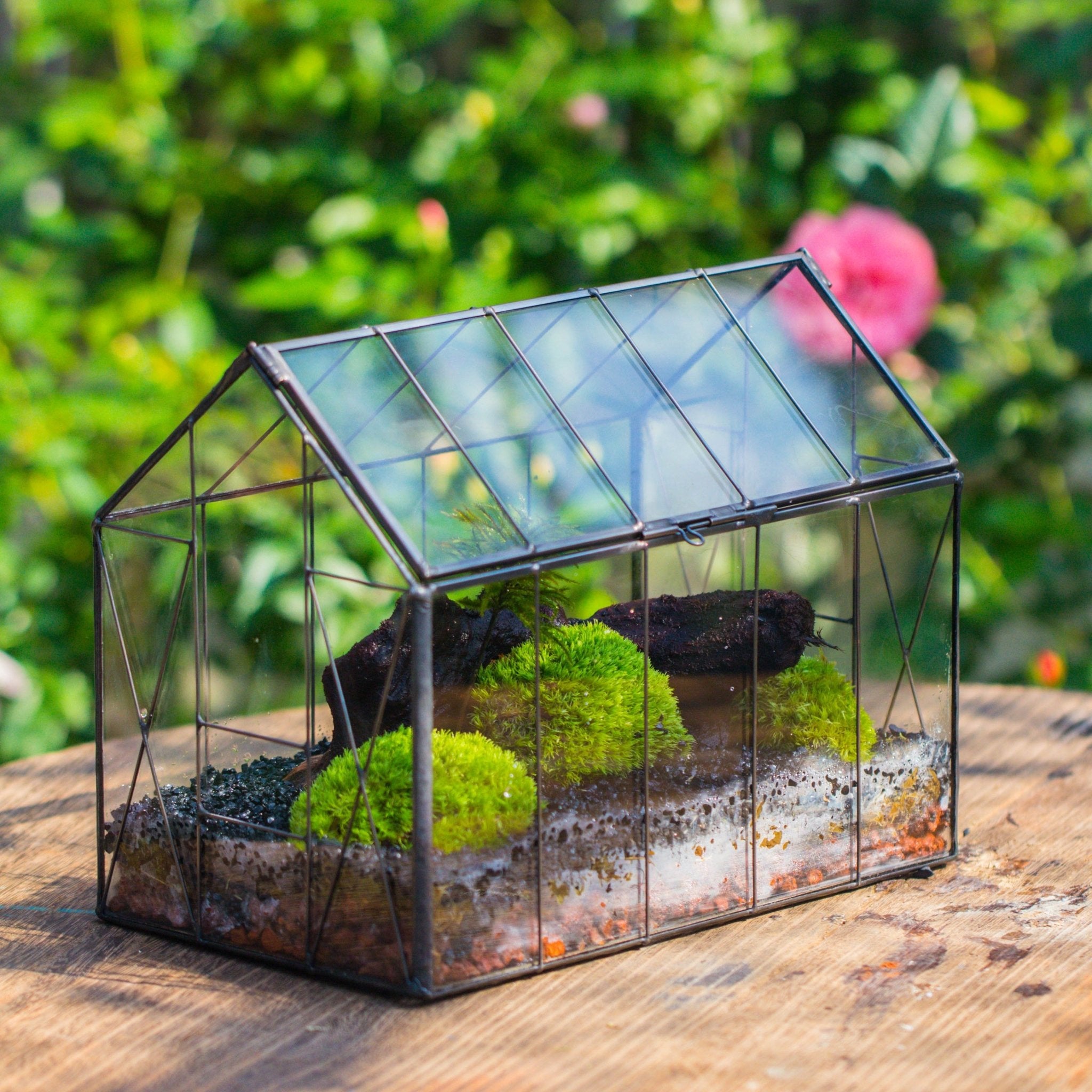 shade terrarium plants Vintge Greenhouse inspired tin and glass geometric Terrarium, Close, for moss, fern, shade plants, micro landscape PH08F2