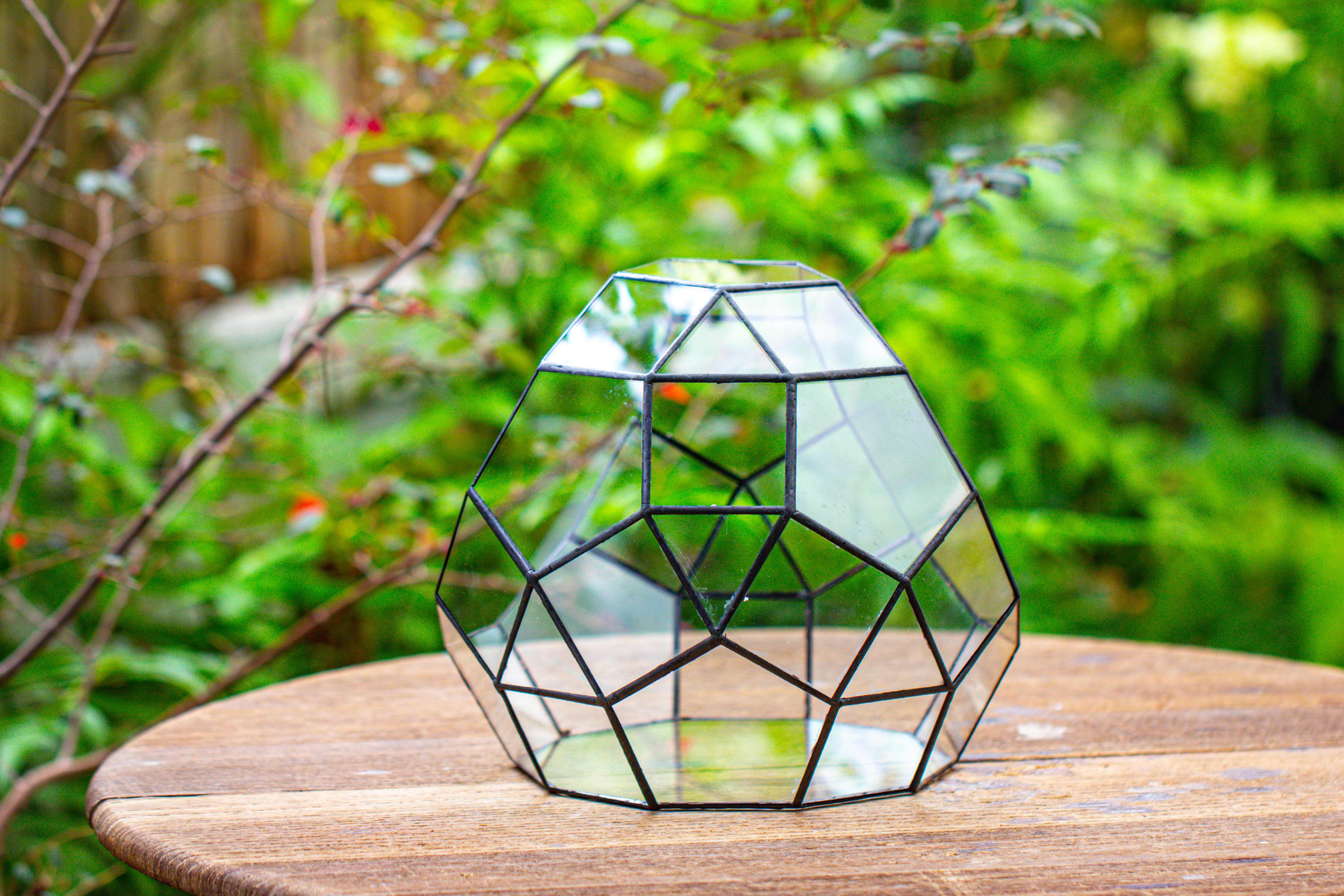 Glass Geometric Moon Terrarium,  Open - NCYPgarden