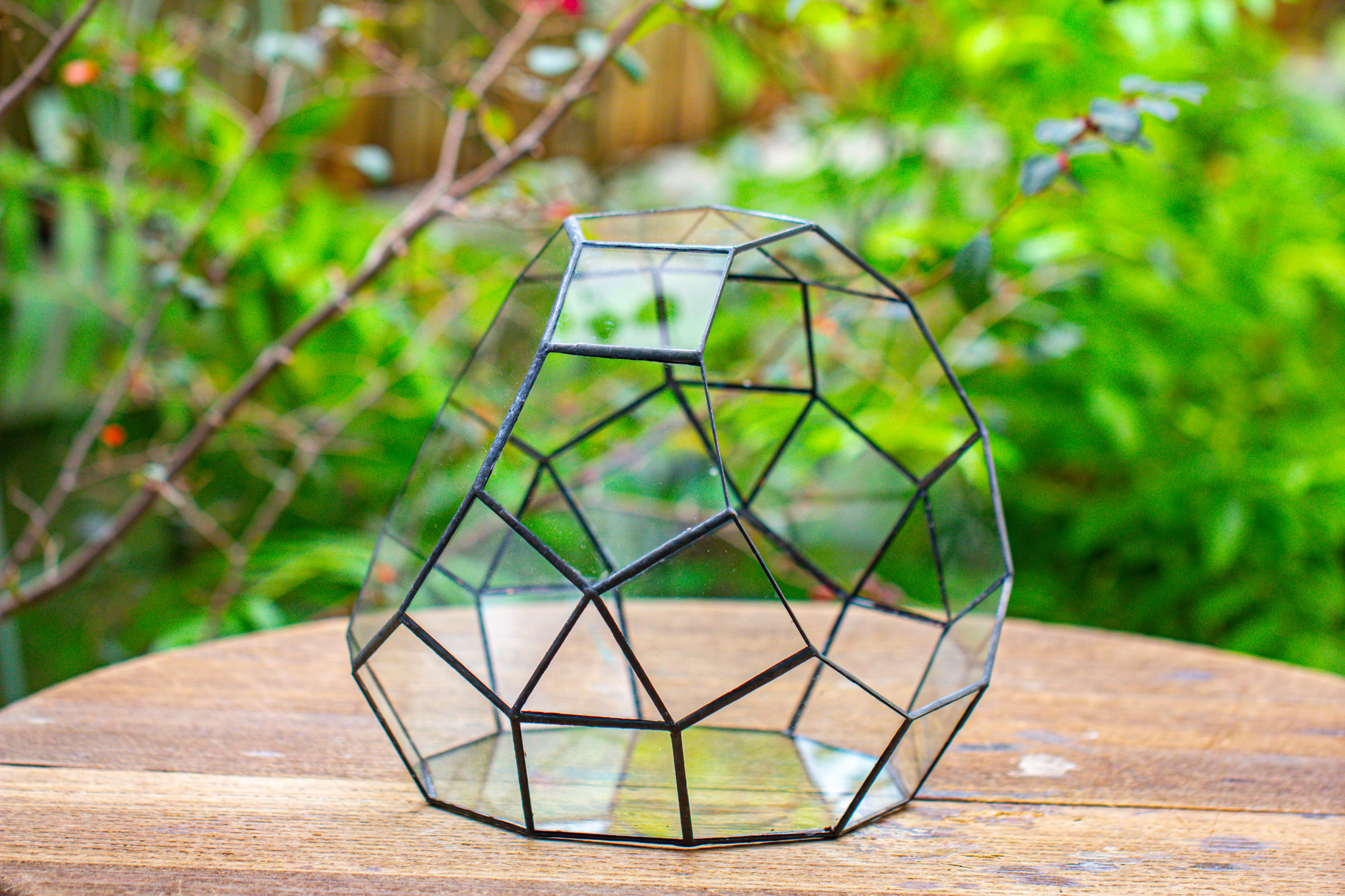 Glass Geometric Moon Terrarium,  Open - NCYPgarden